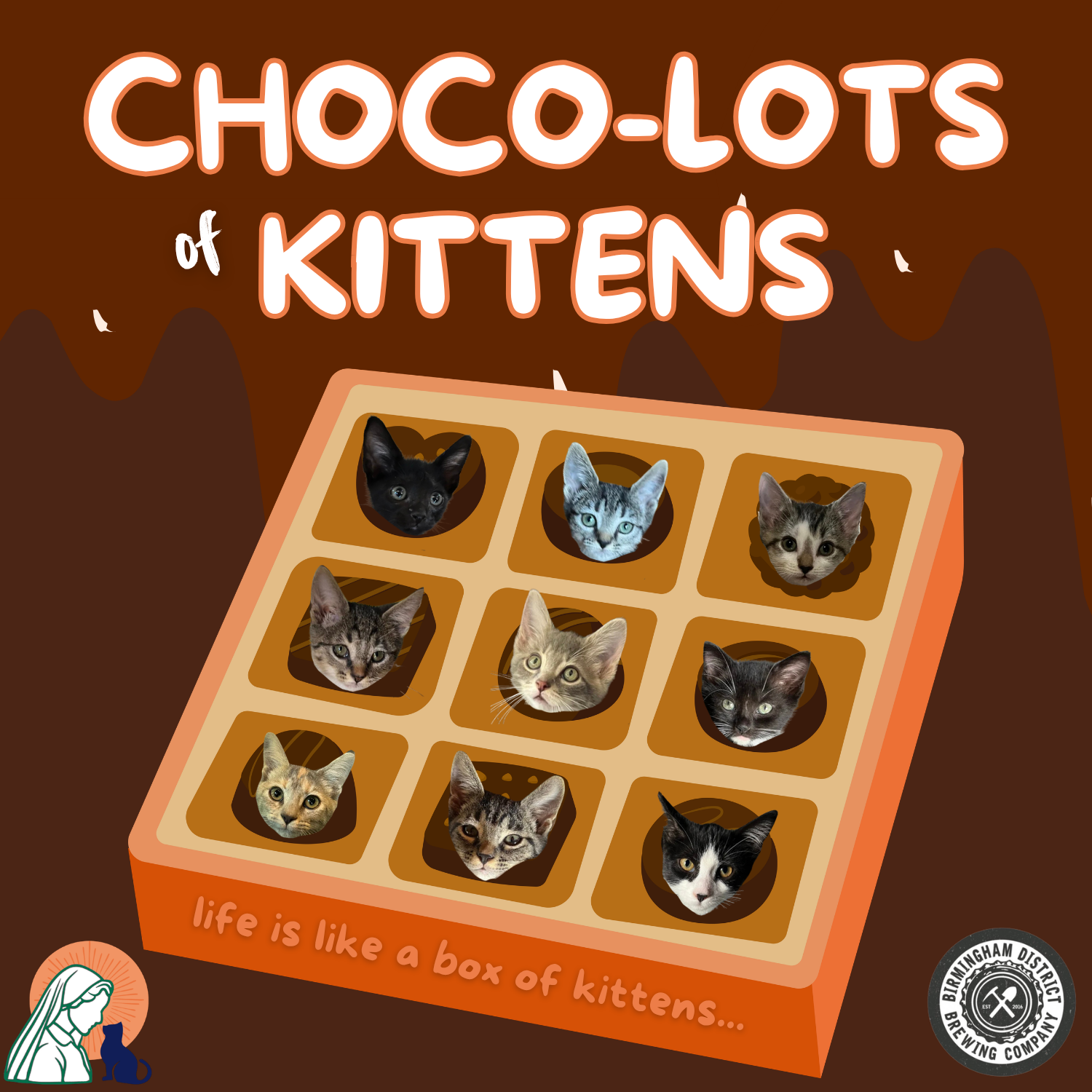 International Chocolate Day Kitten Cuddle