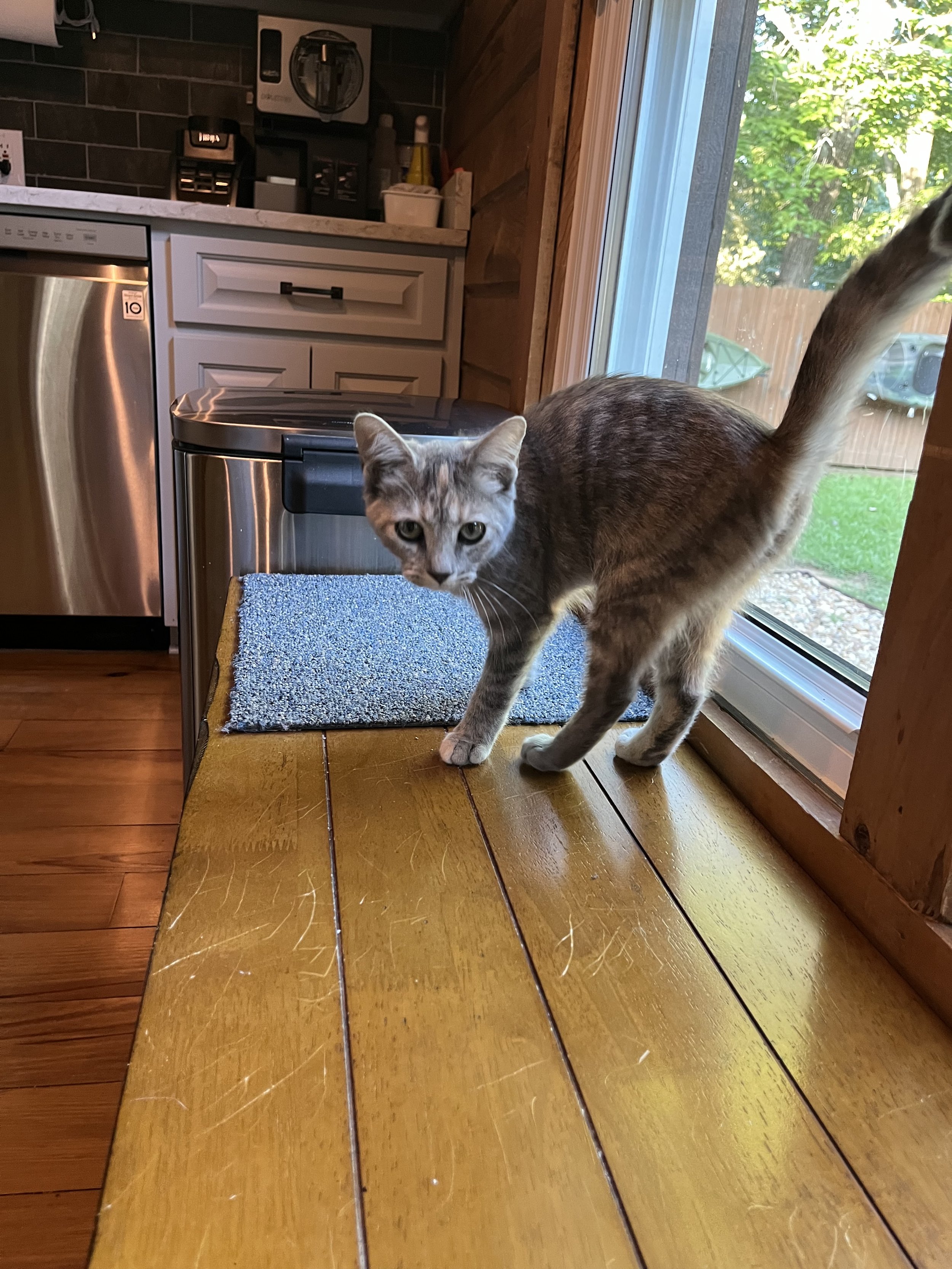 IMG_1356.jpeg