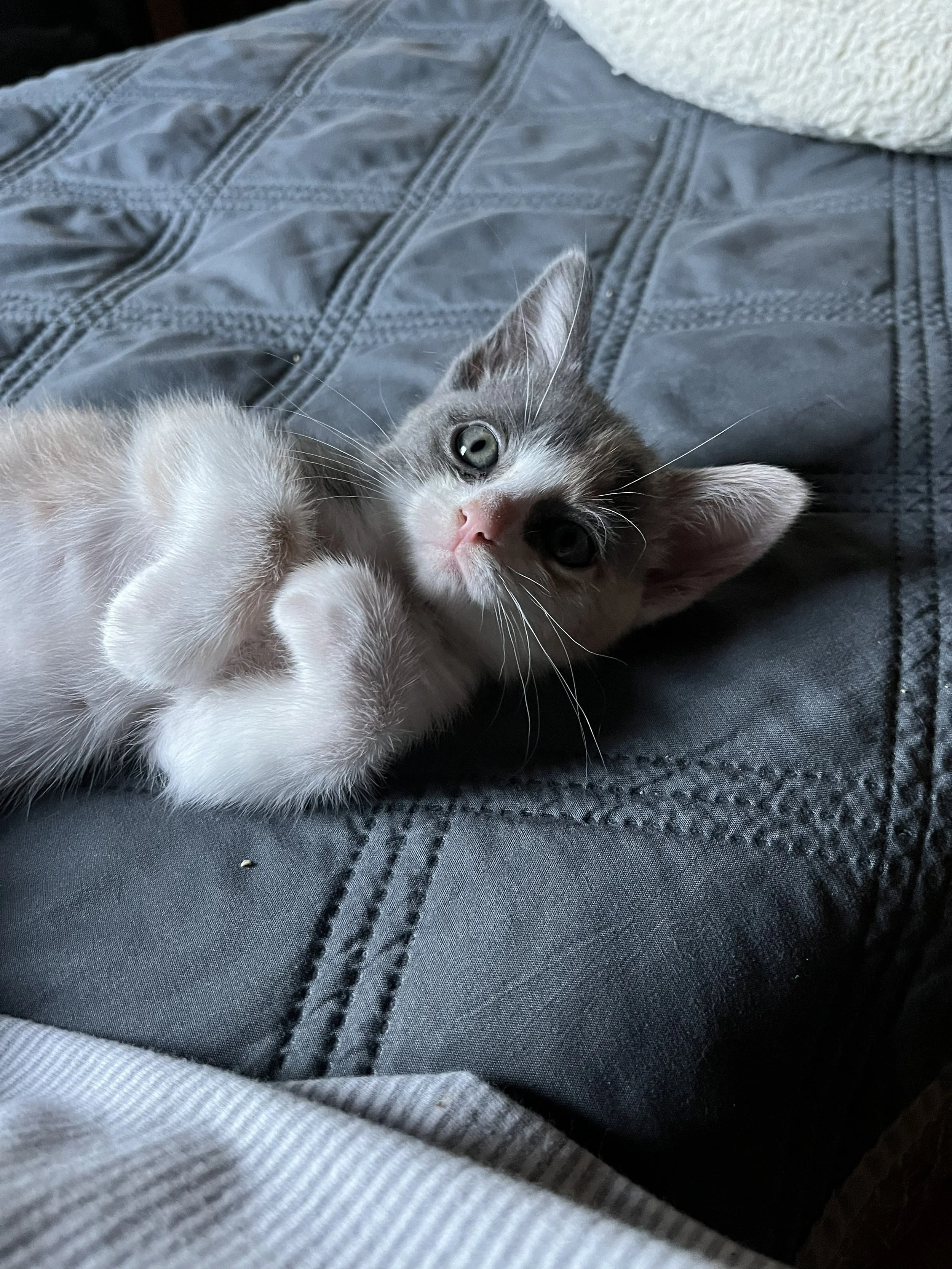 Benjamin7wks.jpg