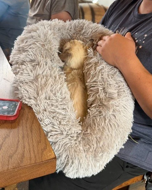 Cuddle.jpg