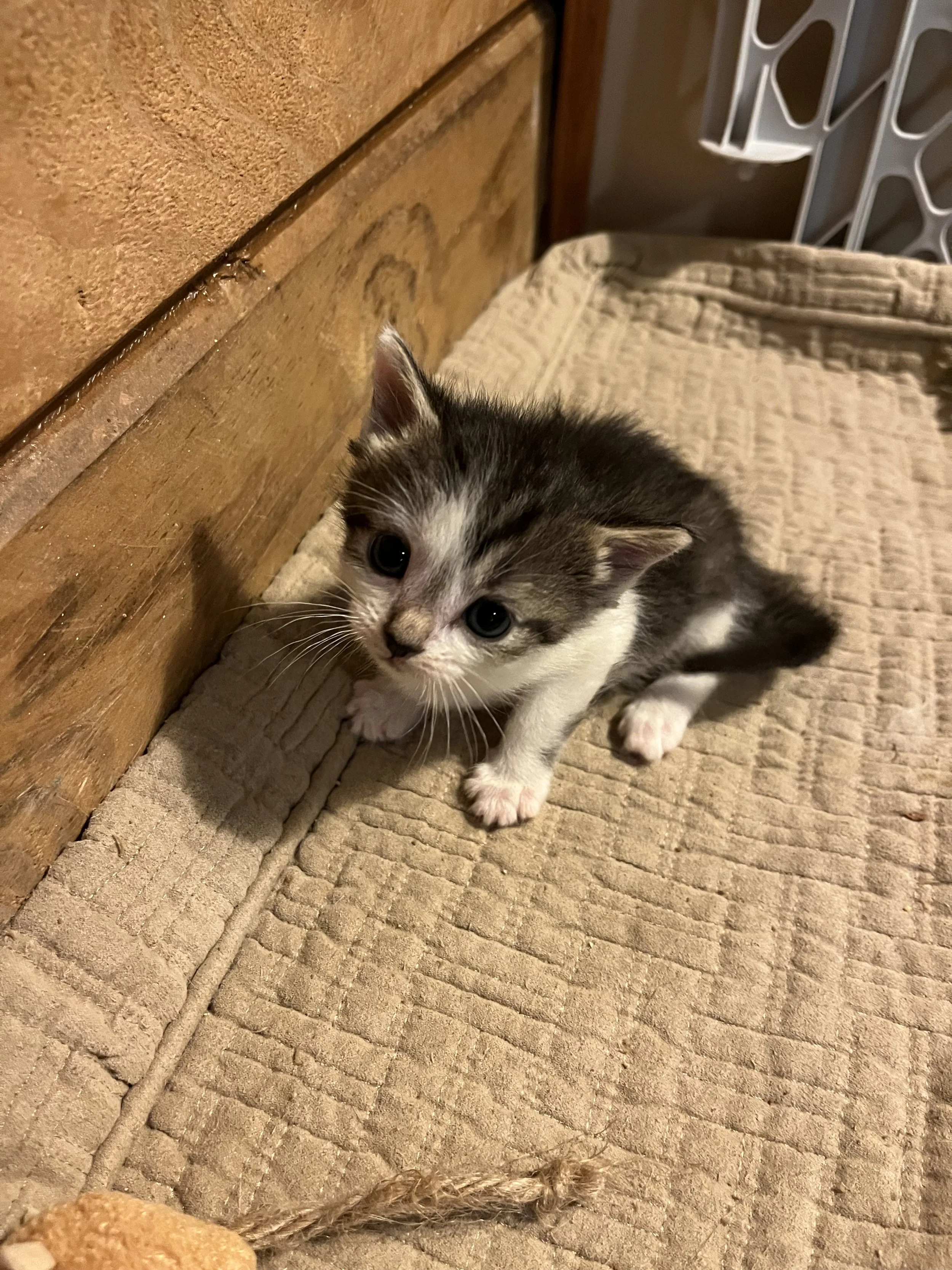 IMG_0797.jpeg