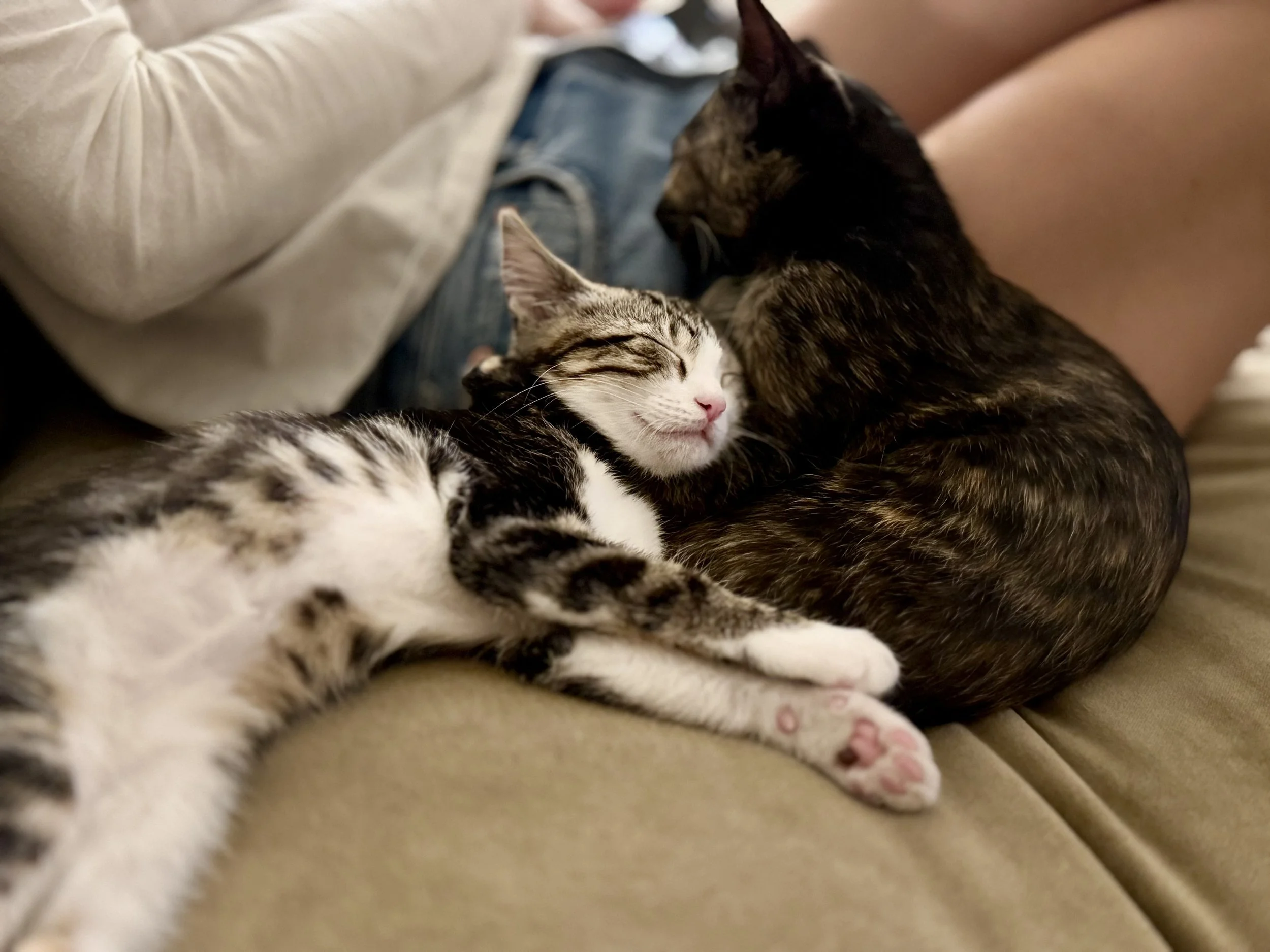 Paula and Felicity.JPG