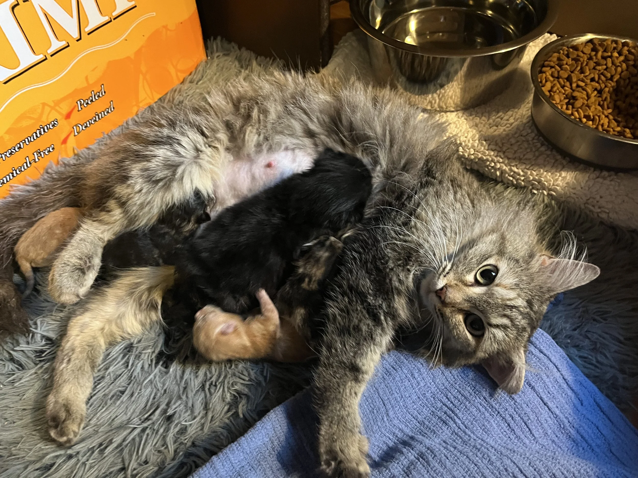 Job & new mamma Bern.jpeg