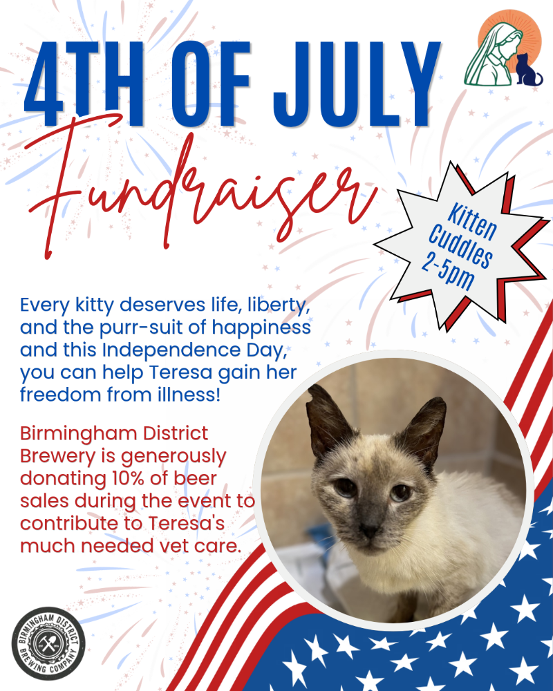 Fundraiser flyer.png