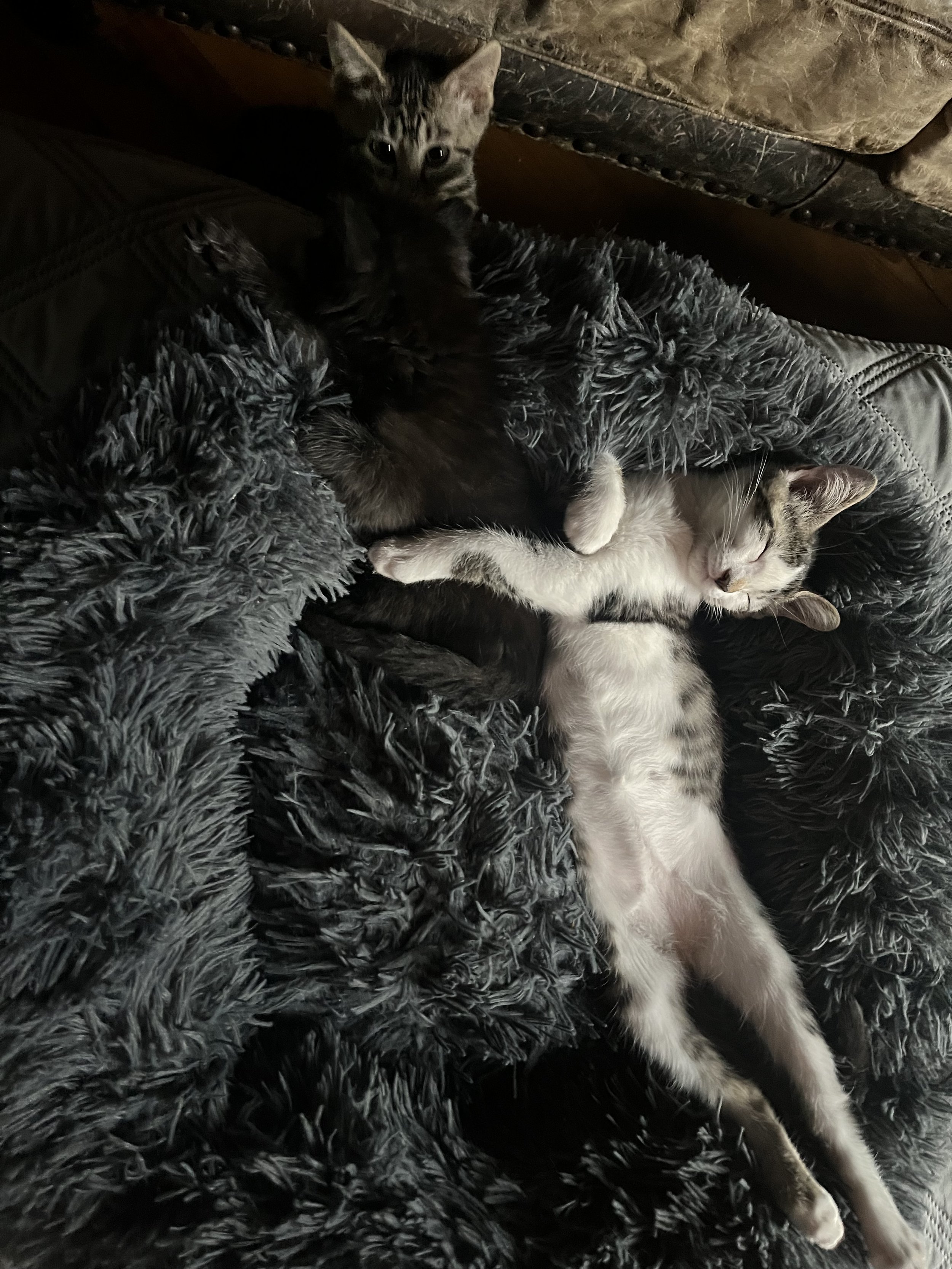 IMG_0264.jpeg