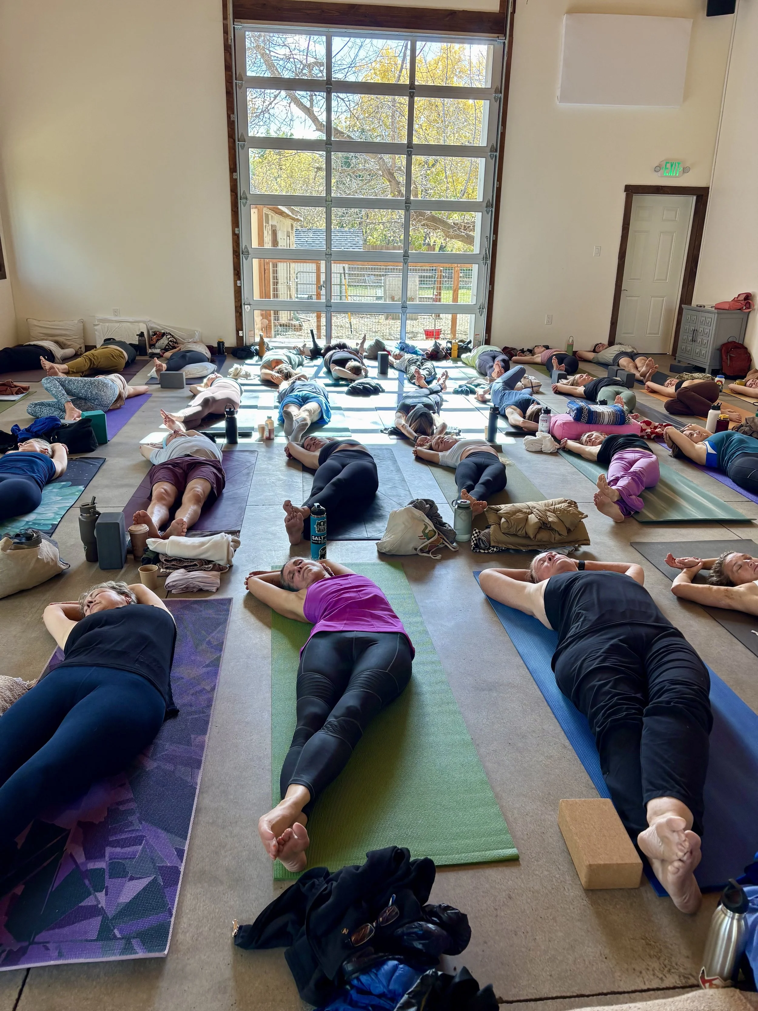 Spring Attunement Yin Yoga