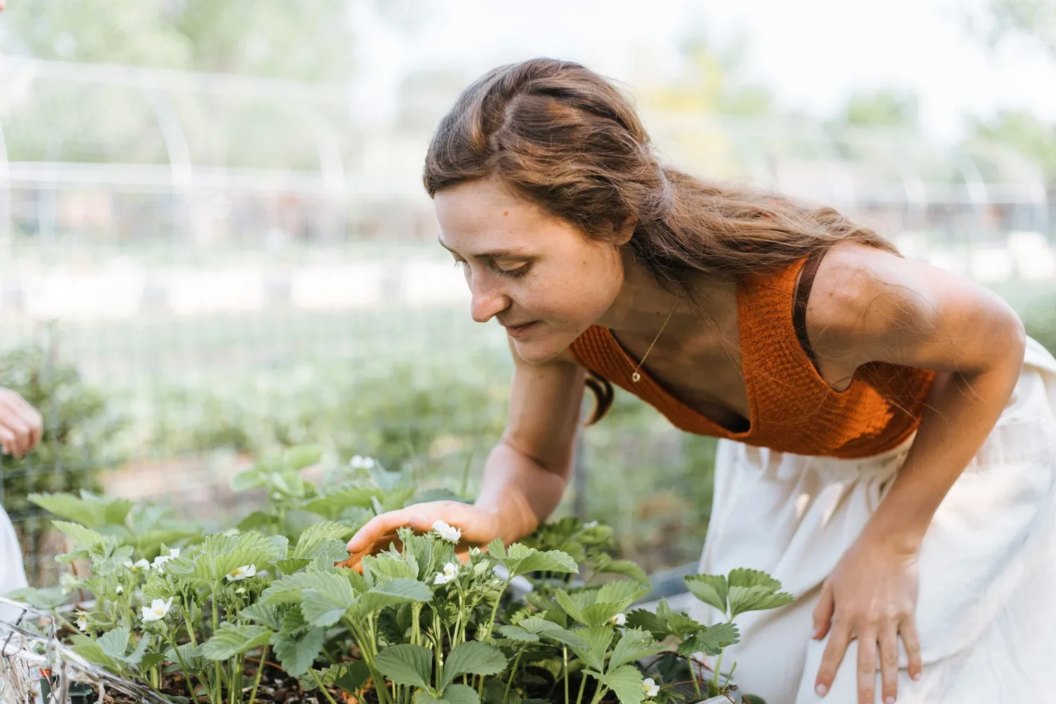 Flower Medicine & Embodiment Workshop