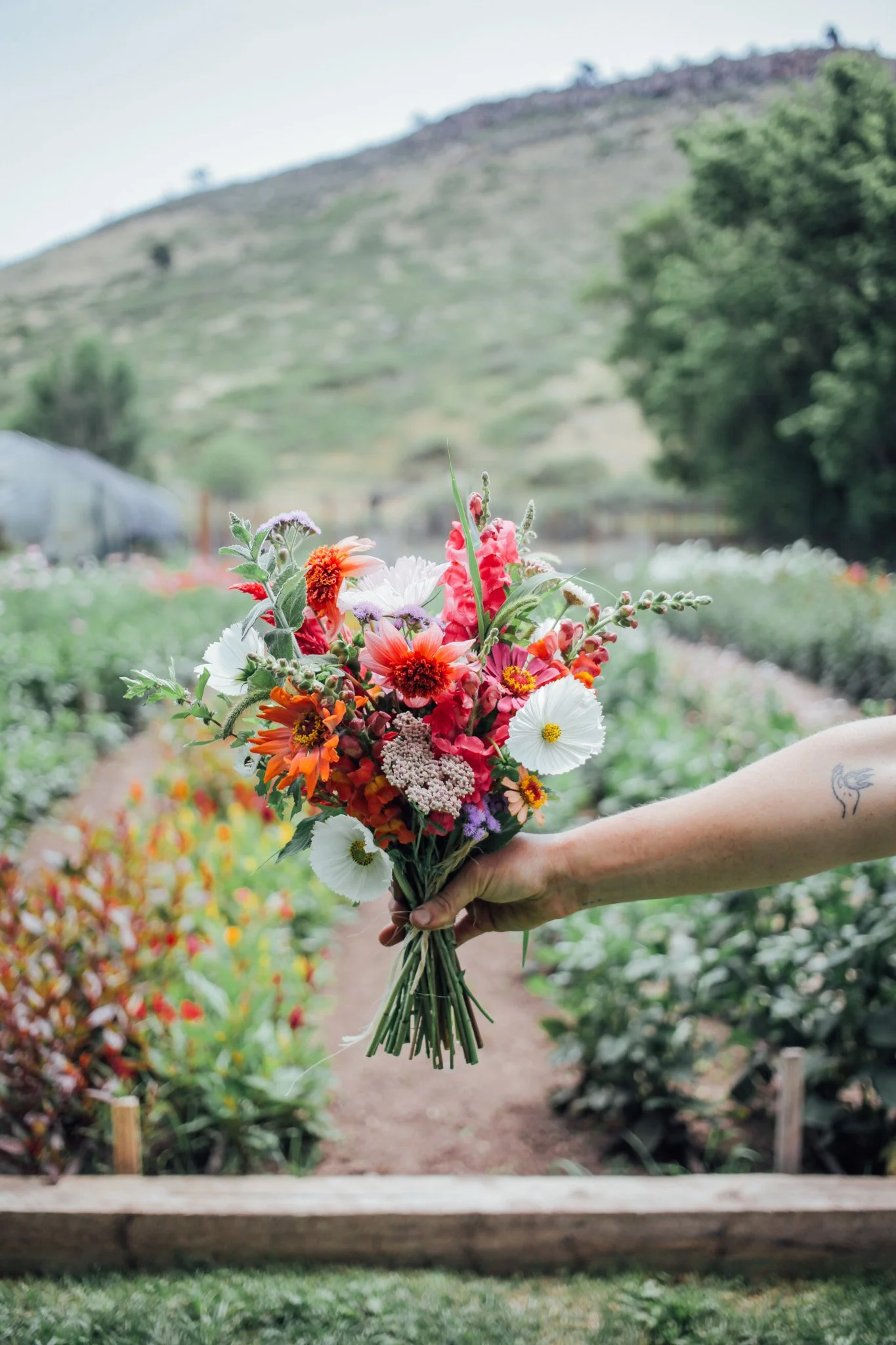 lyons_farmette_field_bouquet_bridesmaid.jpg