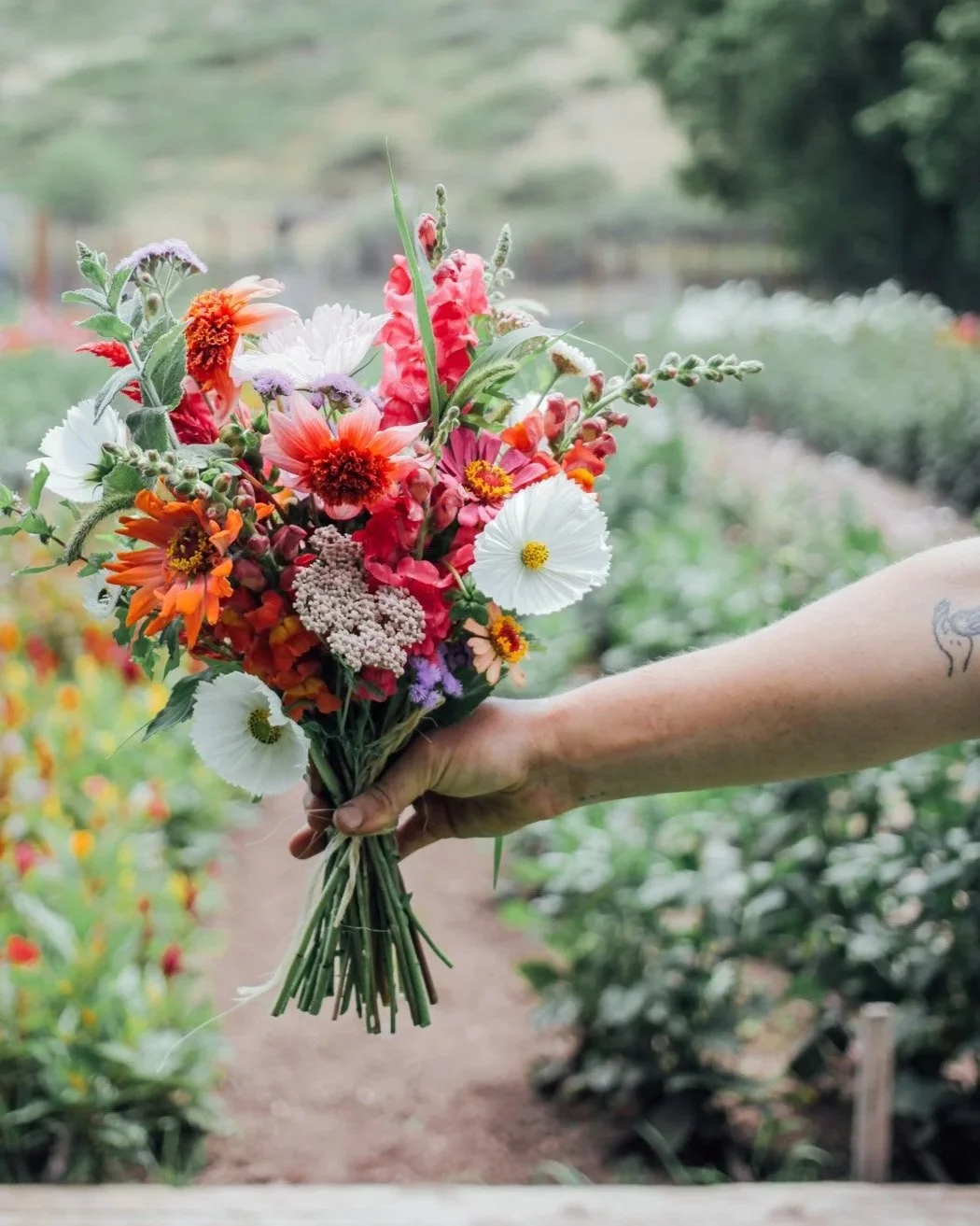 Bouquet1.jpg