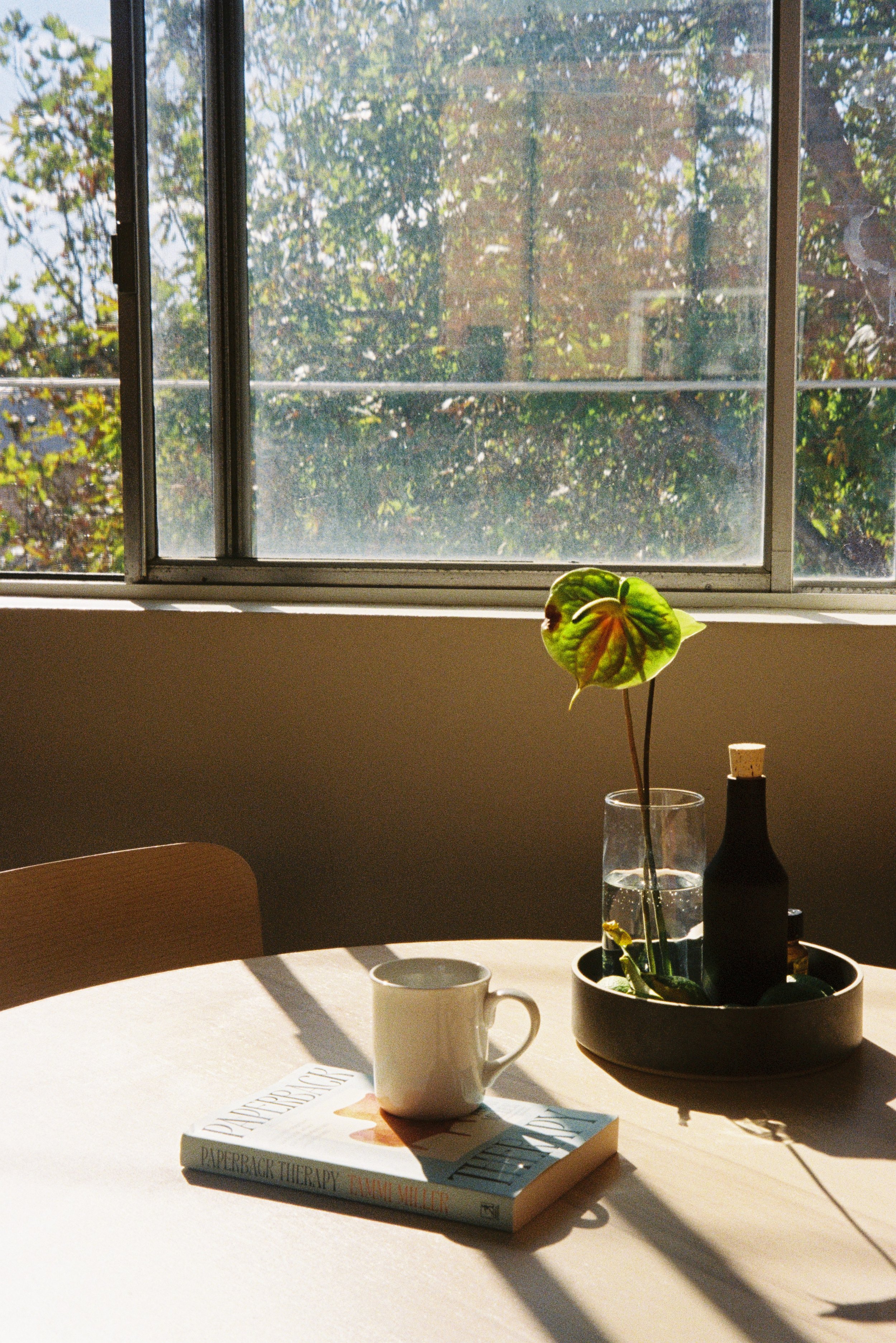 Paperback Therapy - Lifestyle Image (Copy)