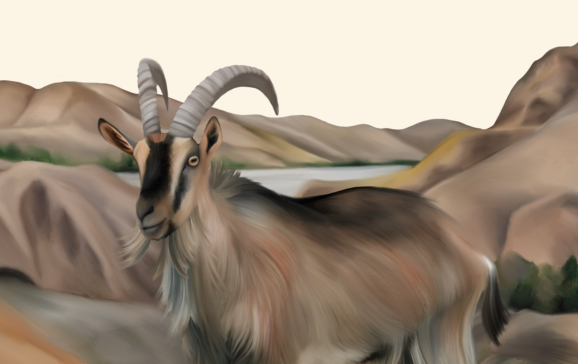 Screenshot 2025-12-27 at 8.07.22 PM.png