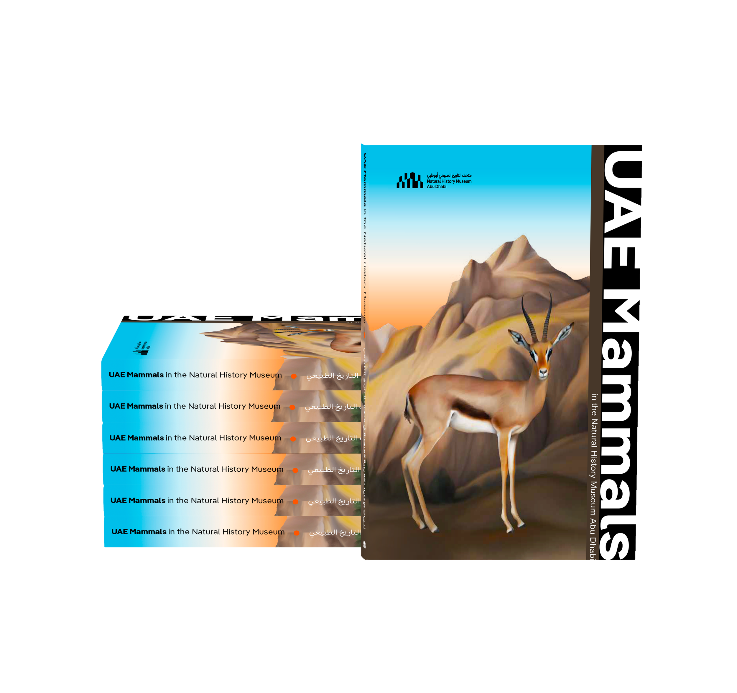 Natural History Museum: UAE Mammals