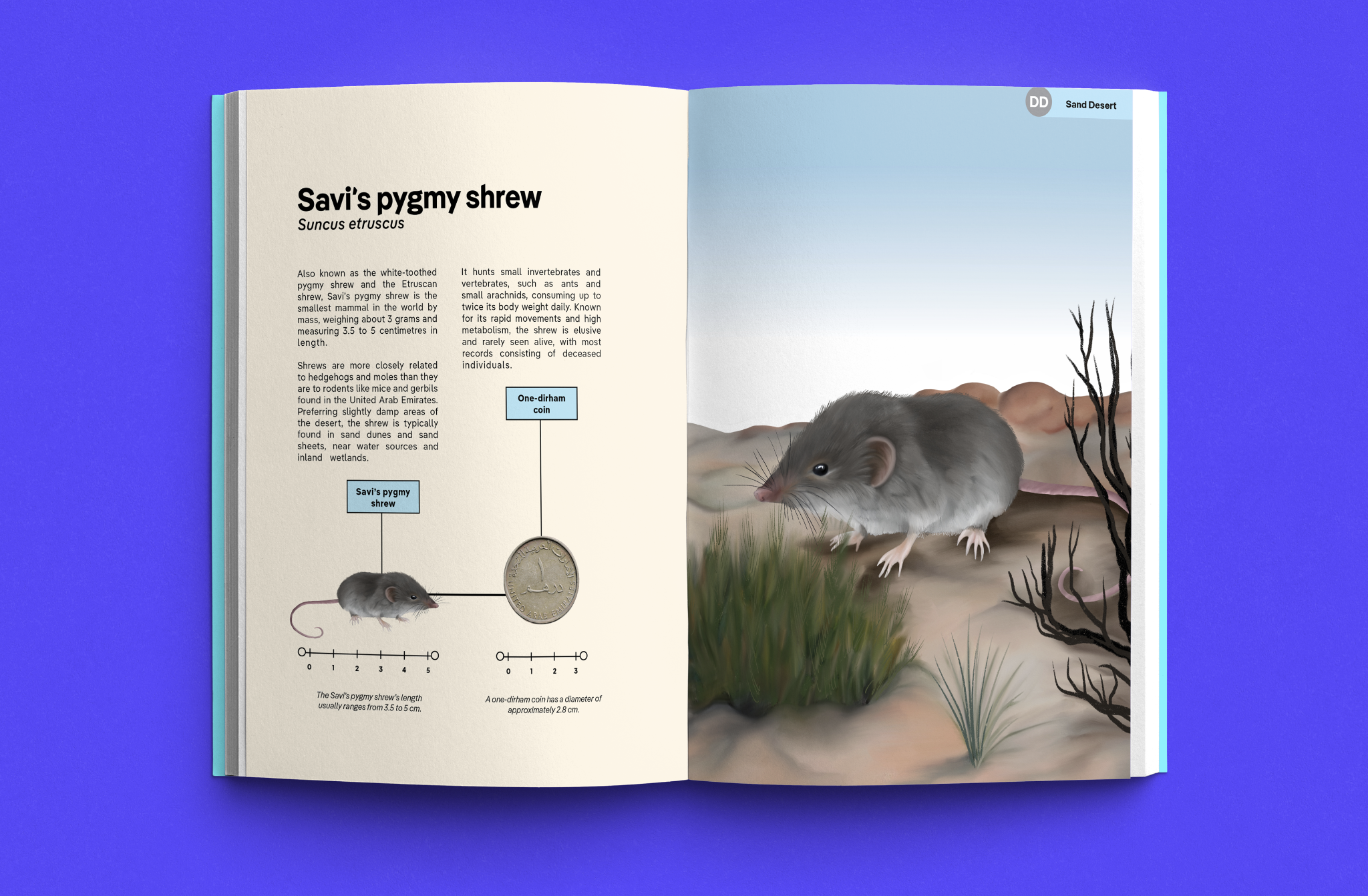 Screenshot 2025-12-27 at 8.08.52 PM.png