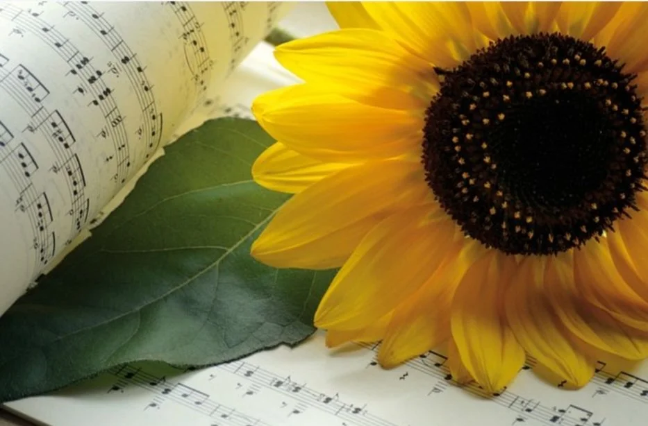      

 
    Thank you, cô HB! We've been blessed with your translation of songs and praise God for your linguistic skills! May our Lord continue to grant you clarity and wisdom to serve His church in this much-needed ministry!    ATL, California  
 