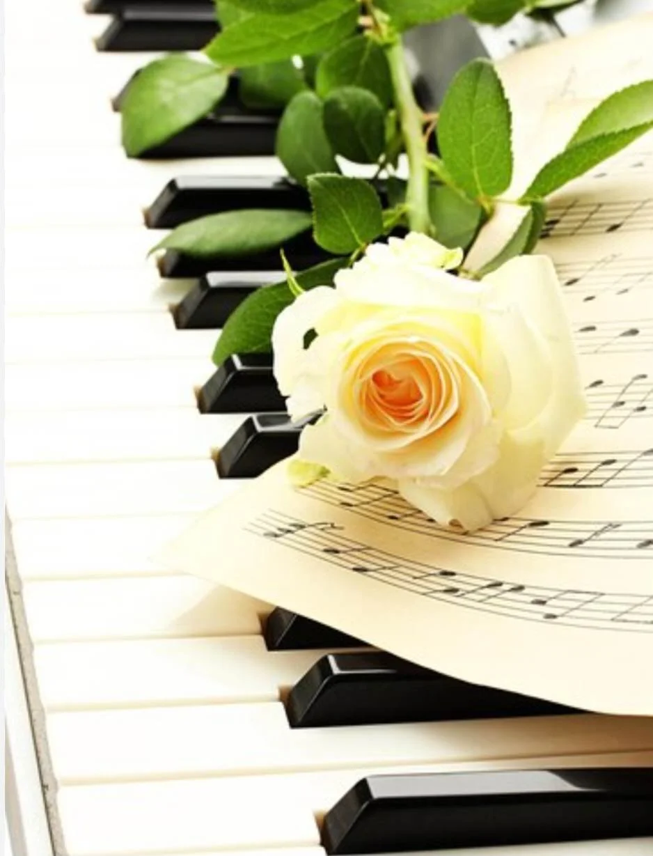      

 
    Thanks for the lyrics, I have to say it is very good.    TB, California  
 




















  
  



     