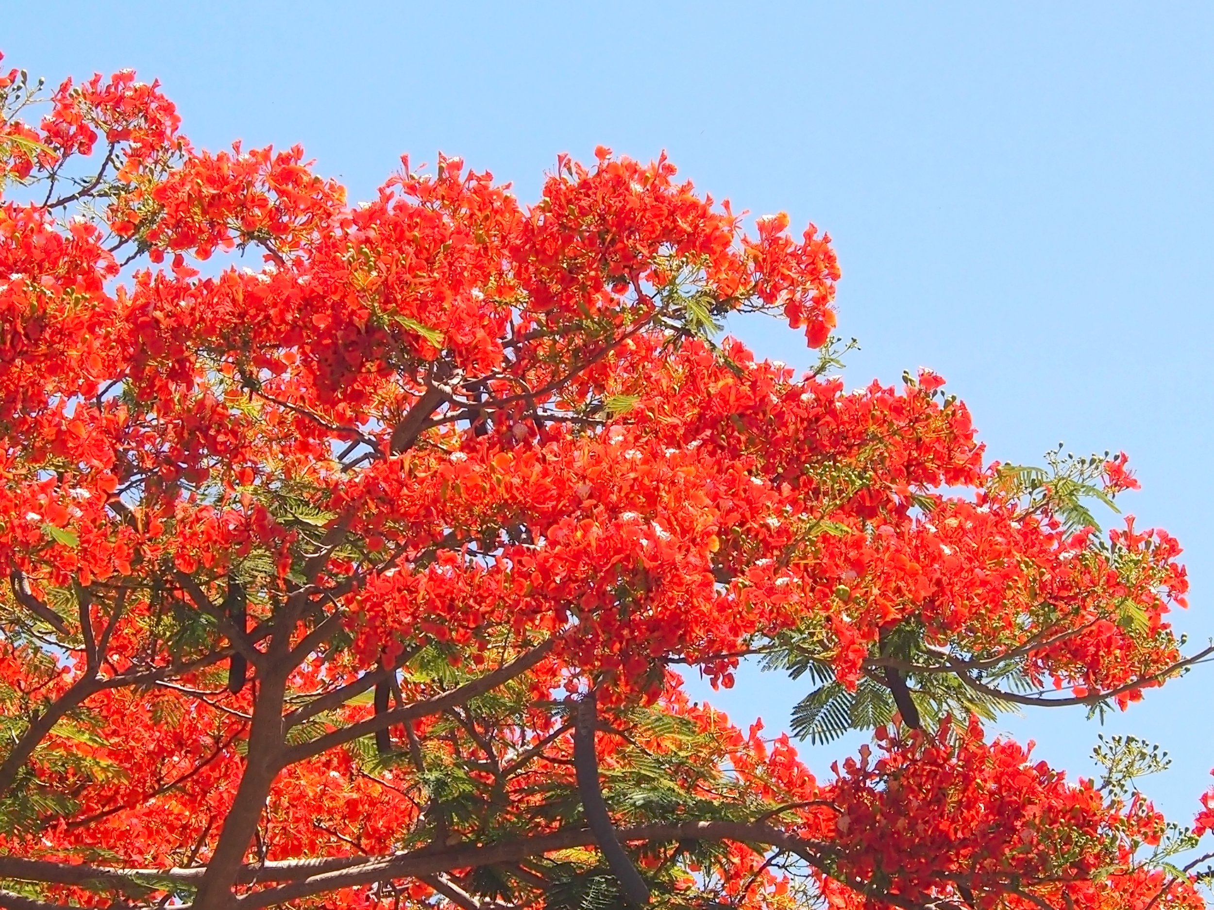      

 
   15 tháng 5, 2021  Hello Chị Hông&nbsp;Bích! Thank you again for translating songs for us so quickly!&nbsp; We very much appreciate your service! Thank you so much!&nbsp; God bless!  TH, Texas 
 




















  
  



     