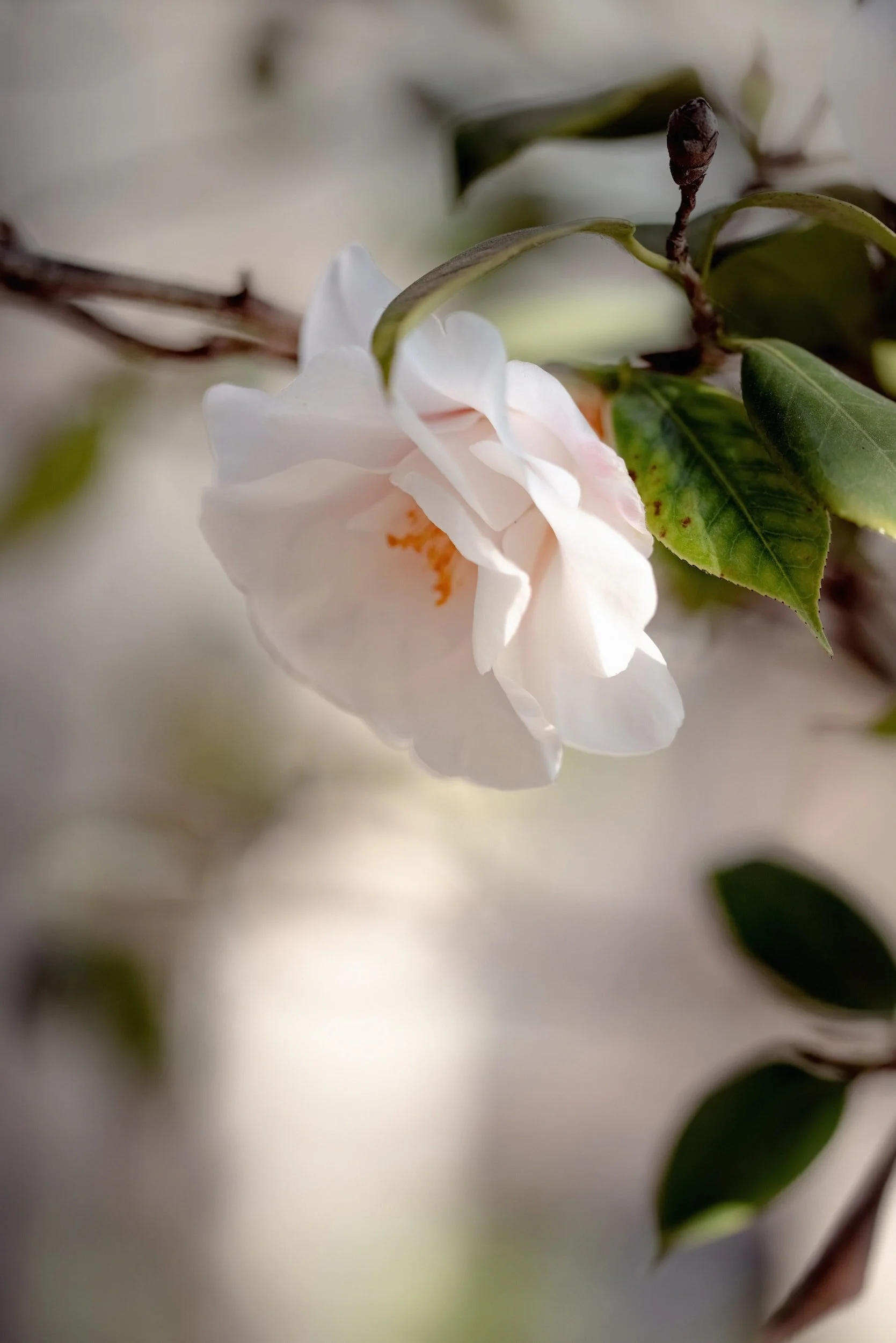      

 
   1 tháng 10, 2022  Quả thật tuyệt vời là lòi&nbsp;lẽ của chị Hồng Bích, không thể nào tốt hơn như vậy. Hallelujah! Cảm tạ Chúa, cảm ơn chị thật là nhiều. Xin Chúa ghi nhận những quả ngọt Chúa ban cho chị đã đem đến ích lợi cho đức tin nhiề