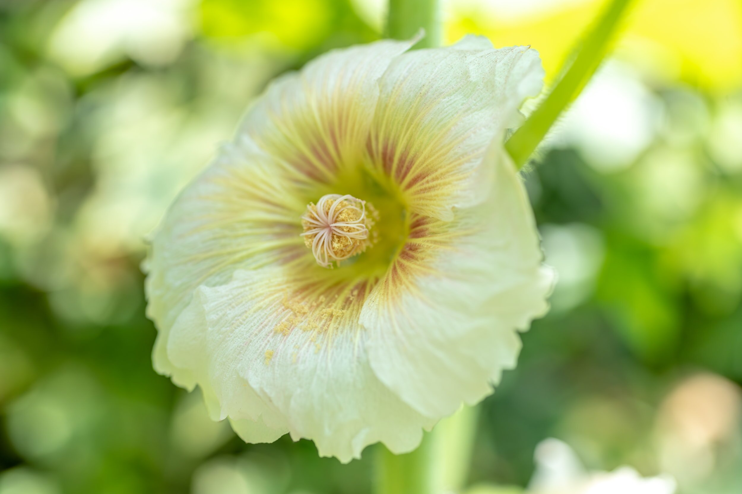      

 
    Hay quá xá...    GTN, California  
 




















  
  



     