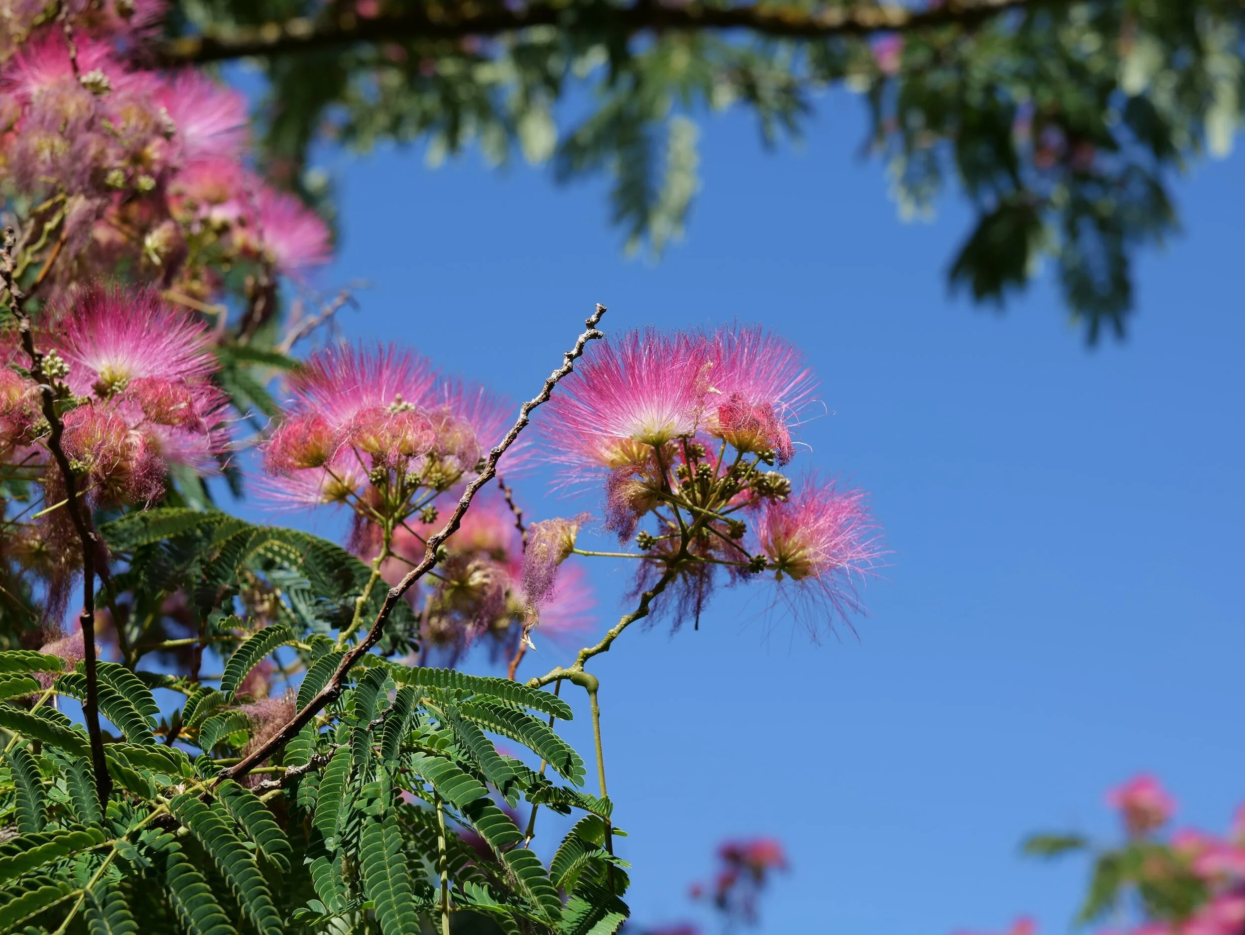      

 
    26 tháng Mười, 2023    Hi chị Bích,    Thật là quá hay khi chị giữ được toàn bộ sự kiện,&nbsp;    ý nghĩa của bản gốc tiếng Anh.    Em cảm ơn chị thật nhiều. Chúa ở cùng chị luôn.    Từ California    Cho "Giê-Xu Ơi, Ngài Ở Đâu?"    Chuyể