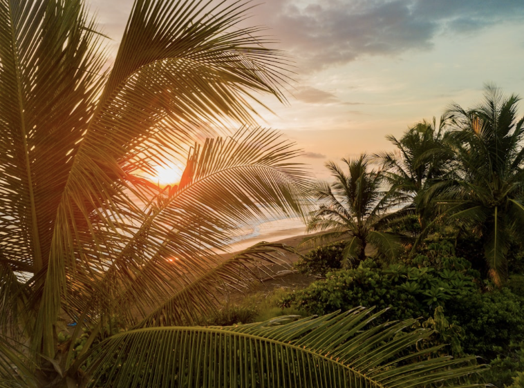 Do You Get Citizenship If You Buy a House in Costa Rica?