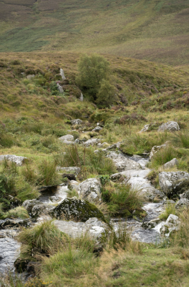 Is It Hard to Get Irish Citizenship?