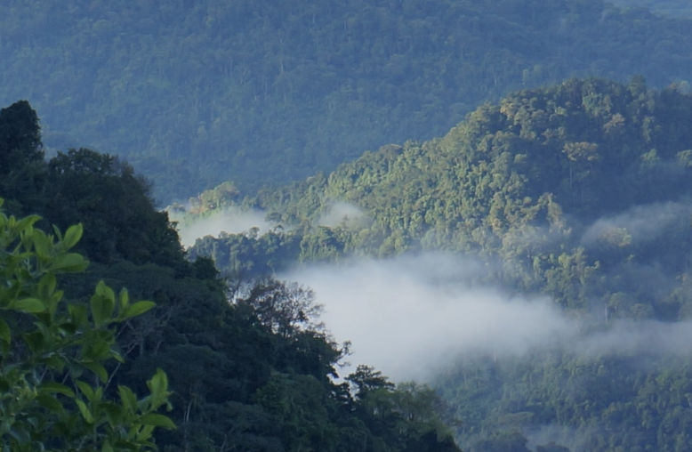 How Much Is $100 US in Costa Rica?