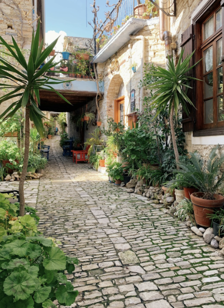 Can You Have Dual Citizenship in Cyprus?