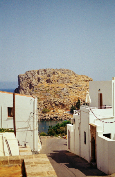 Which Countries Do Not Allow Dual Nationality?