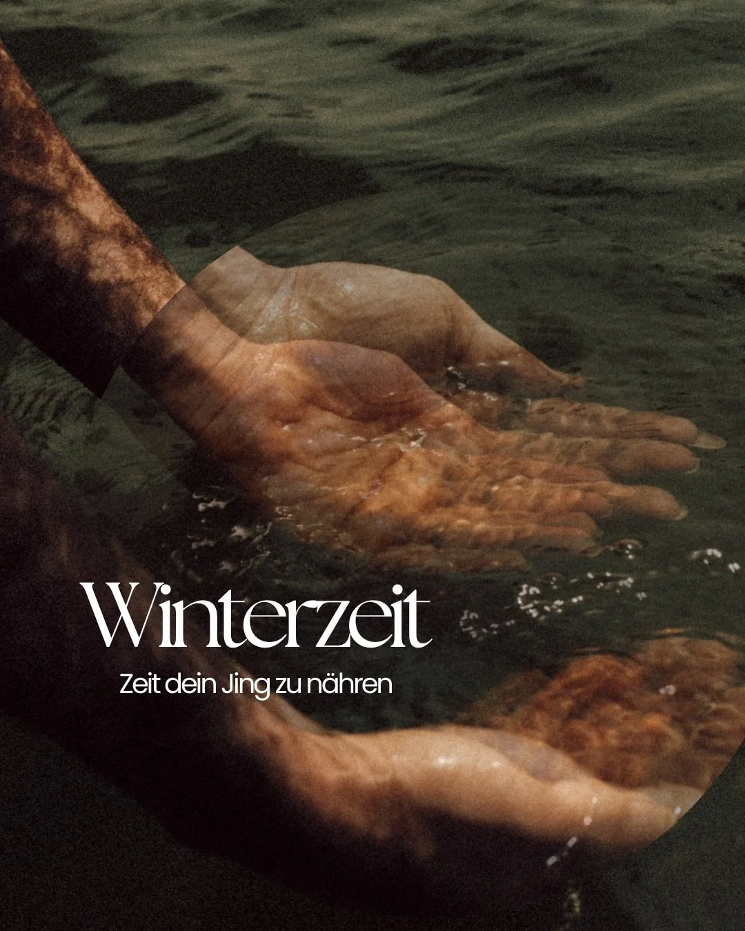 Ich werde oft gefragt, was der Unterschied zwischen Yin Yoga und Embodied Yin Yoga ist ☯️

Ja &ndash; es gibt einige. Einer davon ist, dass wir im Embodied Yin mit den Elementen der TCM arbeiten und uns damit bewusst auf die Weisheit der Natur einlas