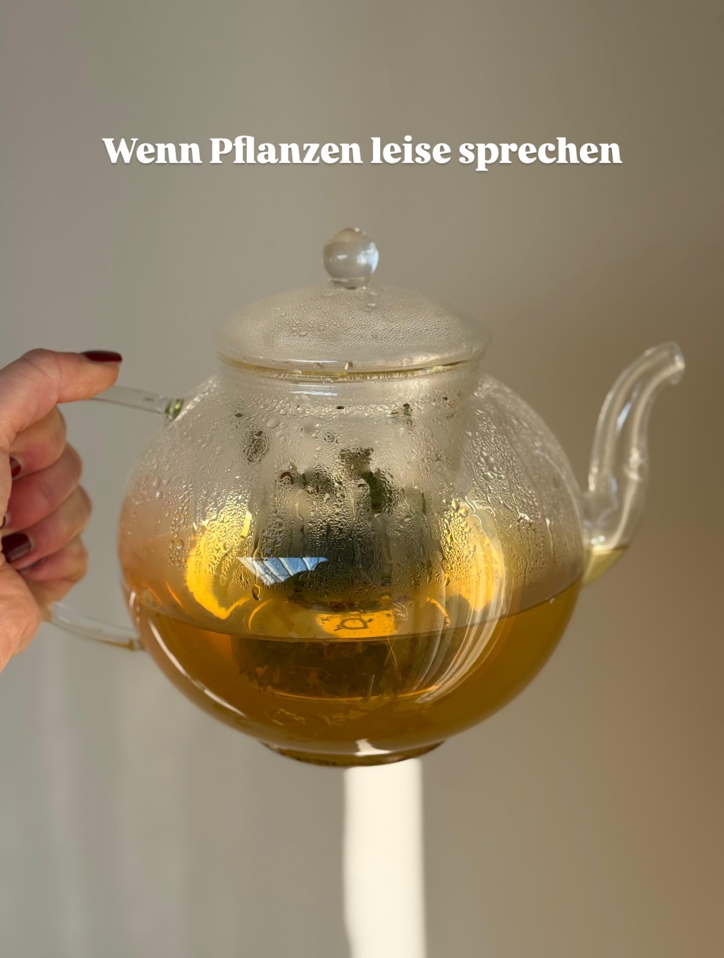 Wenn ich Tee mische, ist das wie ein Gespr&auml;ch mit der Natur. Jede Pflanze bringt ihre eigene Geschichte und Energie mit.

In diesem Monat trinke ich besonders gern eine Mischung aus Frauenmantel &amp; Rosenknospen.

Frauenmantel wirkt sammelnd u