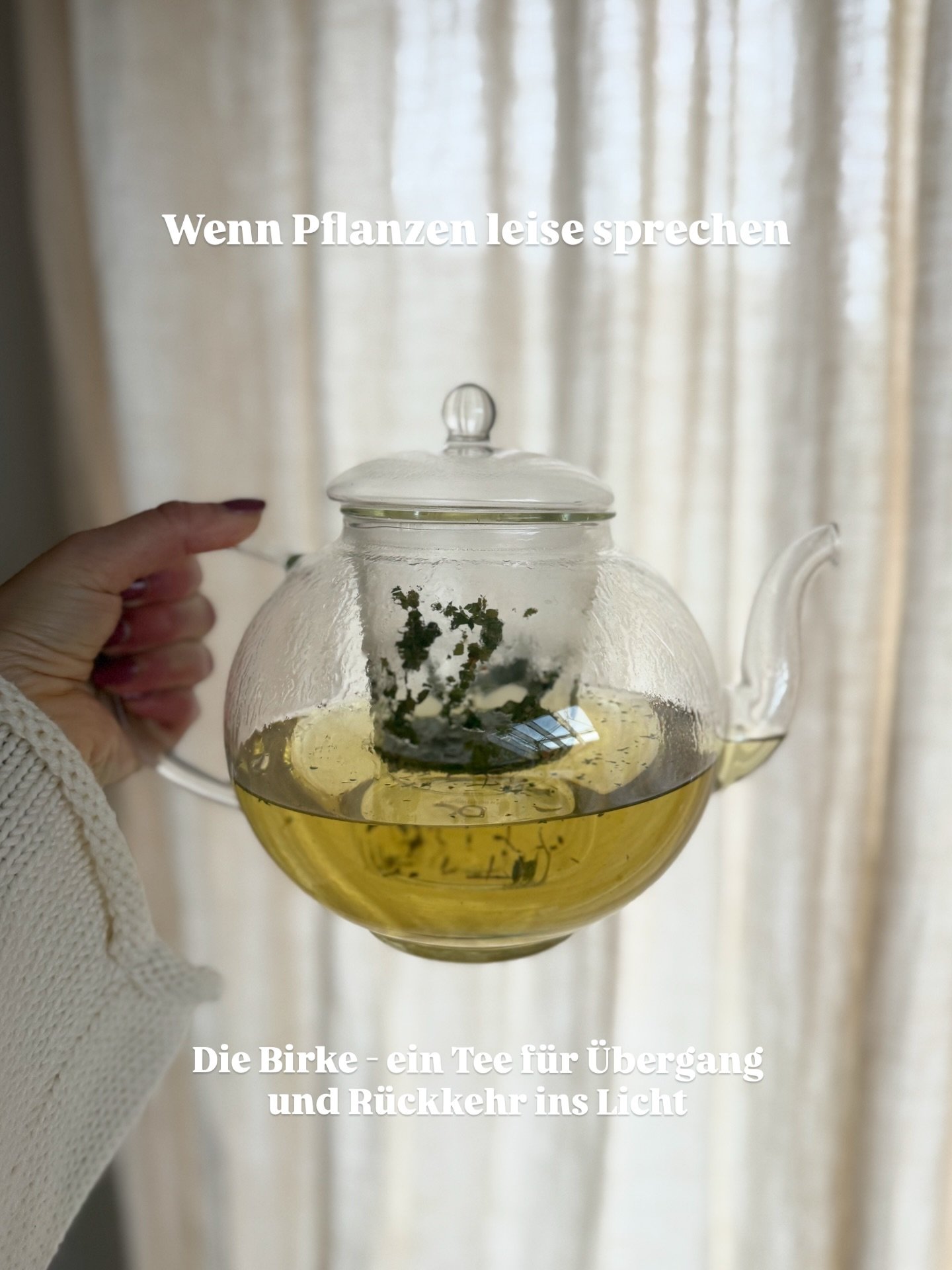 Seit ich klein bin,
fasziniert mich die Birke.
Ihre helle Rinde.
Das feine Rascheln der Bl&auml;tter im Fr&uuml;hling.
Legt man das Ohr an ihren Stamm,
h&ouml;rt man: Leben in Bewegung.

F&uuml;r unser Teeritual im Februar
habe ich sie bewusst gew&au