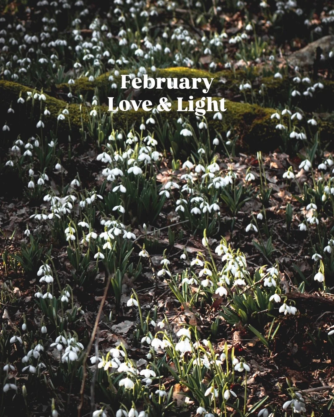 Hab versucht das Wiedererwachen des Lichts einzufangen, wann immer es m&ouml;glich war.

Hab inspiration gefunden in soviel tollen B&uuml;chern (ich neige &uuml;brigens dazu B&uuml;cher zu Scannen, weil mich sovieles interessiert, gerade bei Sachb&uu