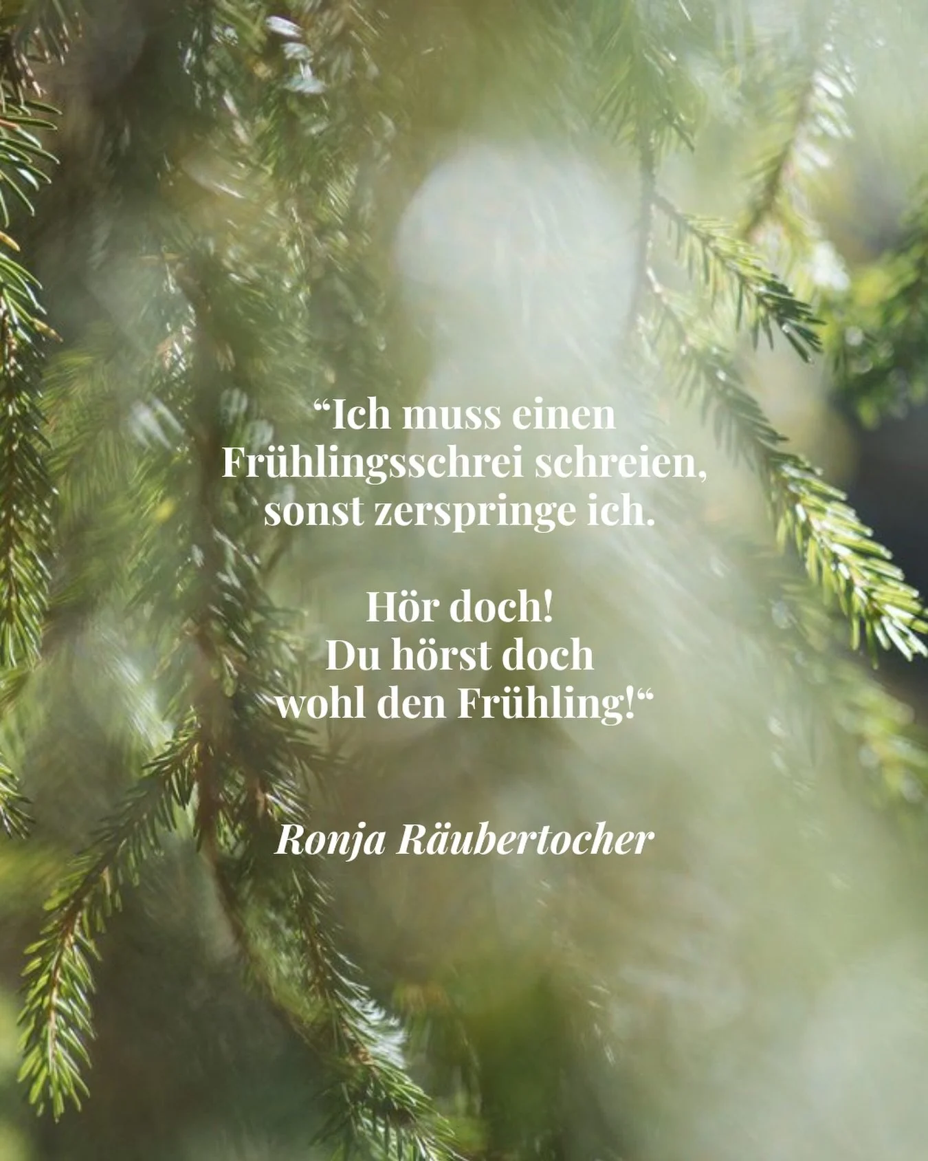 Heute ist die Tag &amp; Nachtgleiche die uns in den Fr&uuml;hling f&uuml;hrt.

Und wenn es nur ein Ritual ist, das ich heute machen m&ouml;chte,dann soll es ein Fr&uuml;hlingsschrei sein.

Ganz tief aus mir heraus soll dieser erklingen, ganz ehrlich: