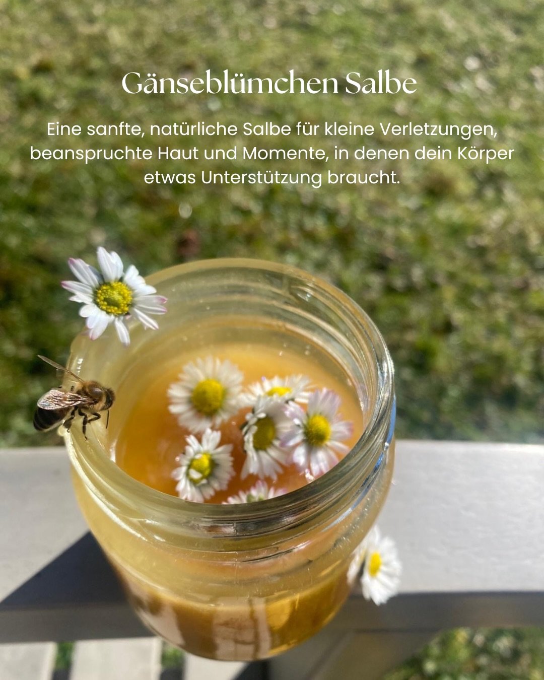 Anwendung 🌼

Diese Salbe kannst du vielseitig einsetzen:

🤍 bei kleinen Verletzungen wie Kratzern oder Sch&uuml;rfwunden
🤍bei Prellungen &amp; Bluterg&uuml;ssen, sanft einmassiert
🤍 bei trockener oder rissiger Haut
🤍 bei Muskel oder Gelenkbeschw