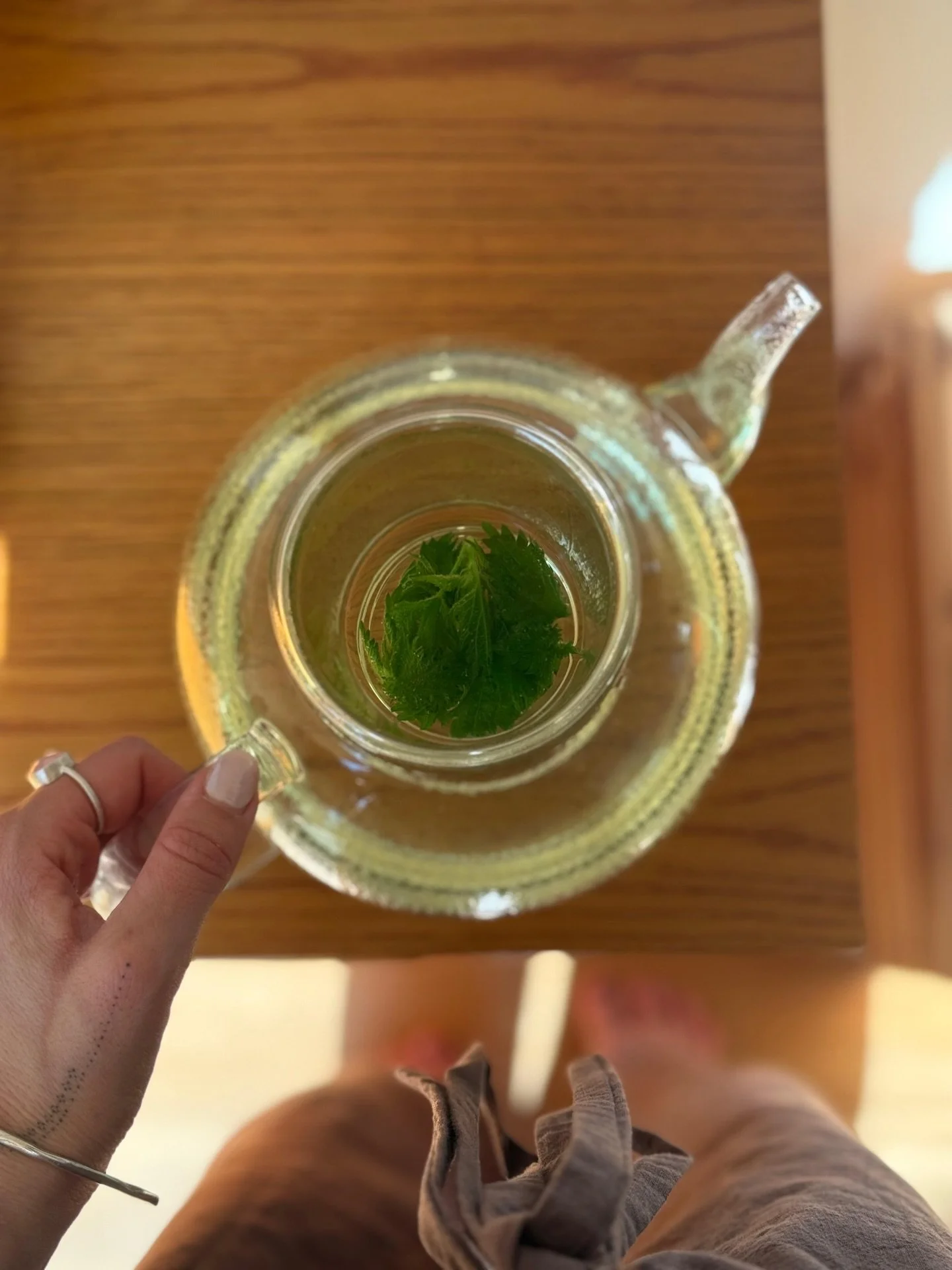 Reawakening of spring comes with many witchy rituals for me 🌱

One of my favorites is the annual nettle infusion. Fresh tops of stinging nettle, steeped into a mineral-rich, earthy tea.

I pick some fresh tiny tops and make a tea to enjoy right away
