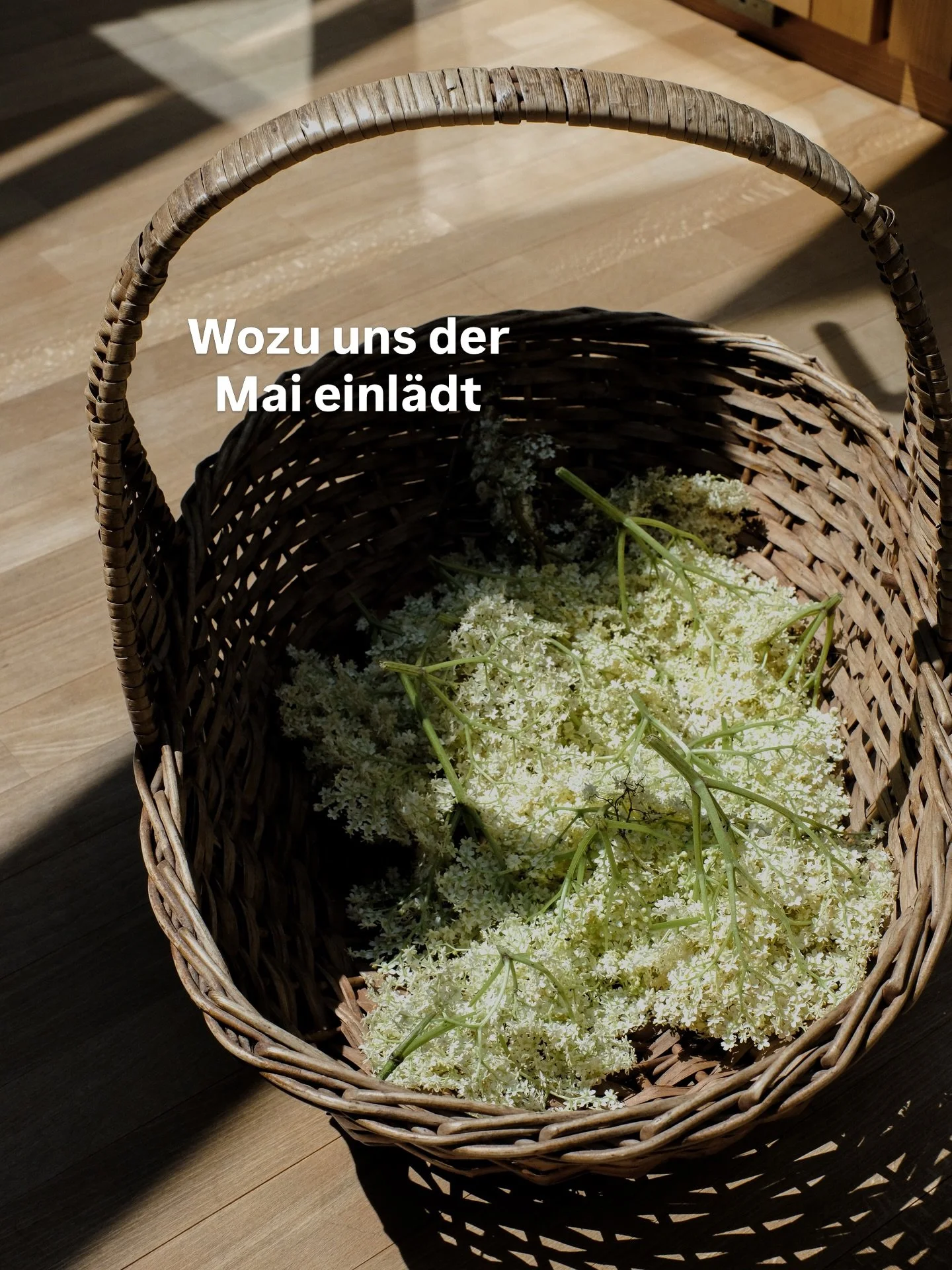 Worauf freust du dich im Mai?

#hallomai #zeitqualit&auml;tmai #lebensfreudeeinladen