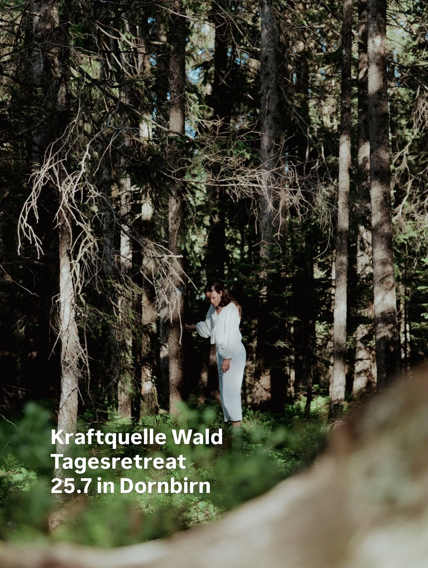 Kraftquelle Wald &ndash; Tagesretreat Samstag, 25. Juli | 9:00 &ndash; 16:00 Uhr | Dornbirn

Nimm einen Lieblingsmenschen mit und spart mit dem Freundschaftspreis.

✨ Schreib mir eine Nachricht mit &bdquo;Waldkraft&ldquo; f&uuml;r alle Infos &amp; An