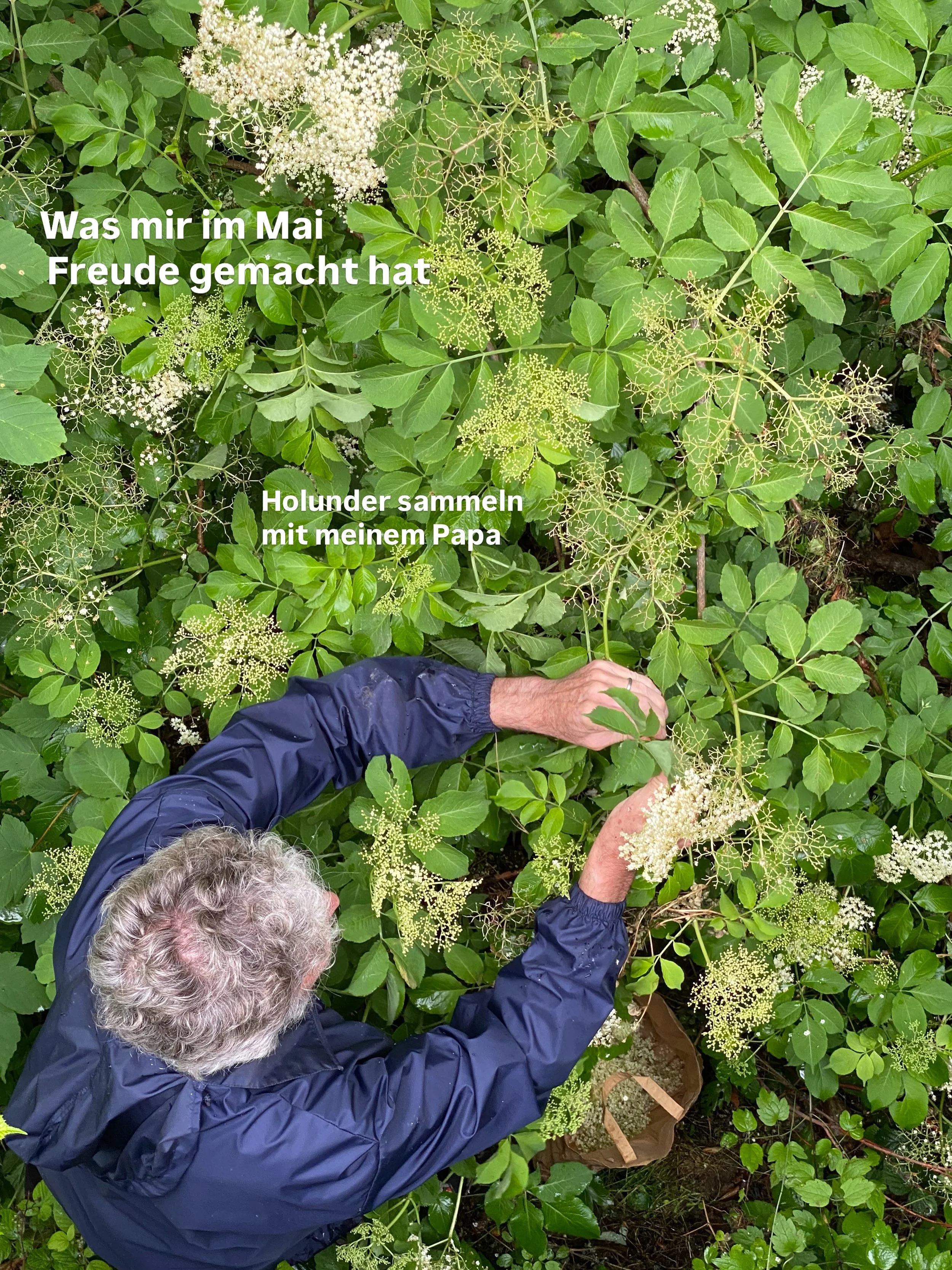 Was hat dir im Mai Freude gemacht?

#maifreuden #naturverbundenleben #mairecap