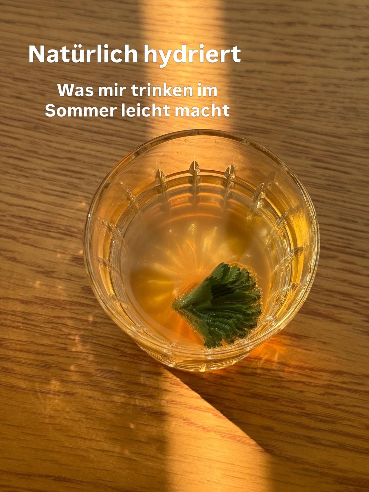 Ja ich verwende auch Elektrolyte gerade jetzt in der Schwangerschaft ist das durchaus sinnvoll mir wurde die Frauenmischung von @theminerals.de empfohlen (danke @yoga.mit.ines )

Aber trotzdem ist es wichtig ausreichend zu trinken und das f&auml;llt 