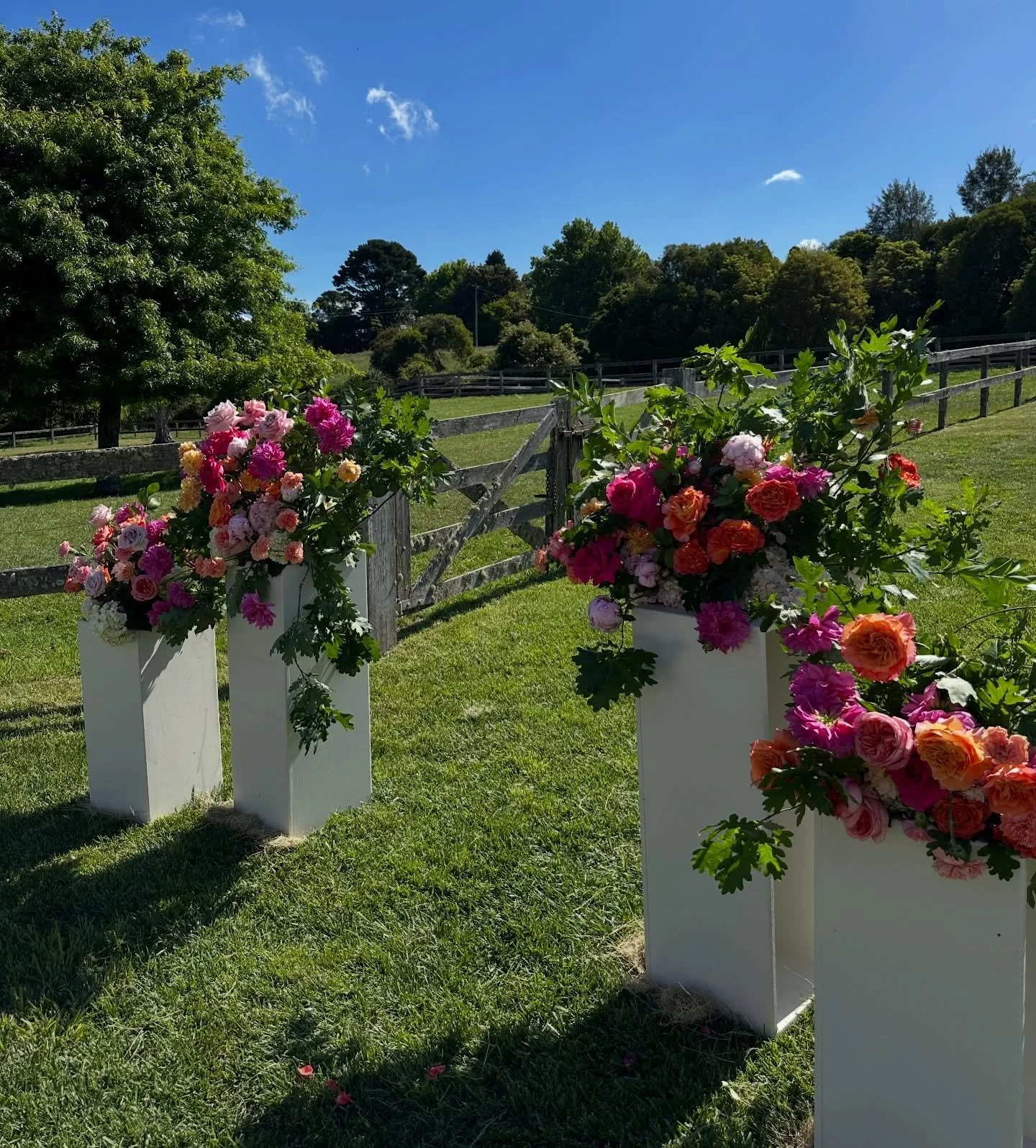 CLAIRE &amp; STEPHEN 💐🧡

A day filled with laughter, love &amp; brightness. The special day was held on the family farm - we still can&rsquo;t get over how gorgeous this day was! 

Save this for your bright decor wedding inspiration 🧡🌸