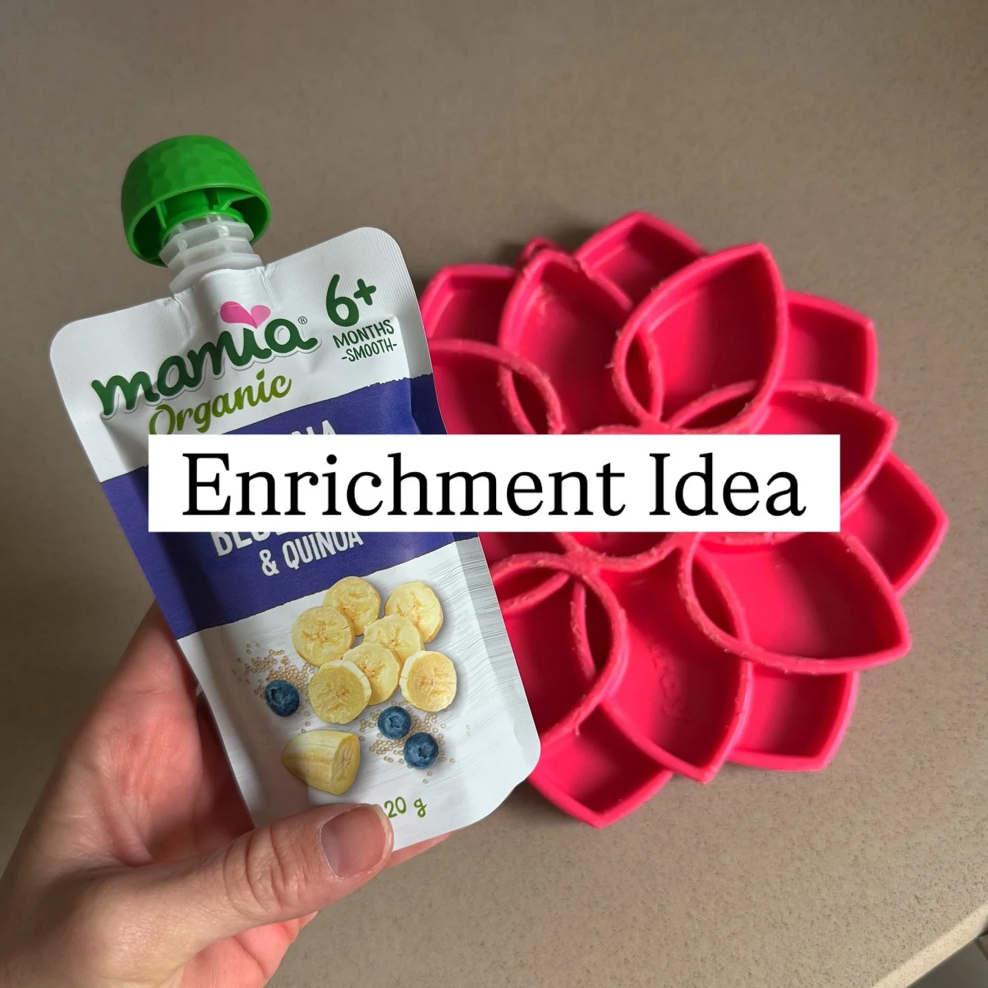 A quick and easy way to fill a lick mat and try something new… baby food!
It’s as simple as filling it into your enrichment item and even freezing it for increased difficulty. Try different flavours that are dog safe and see what ones