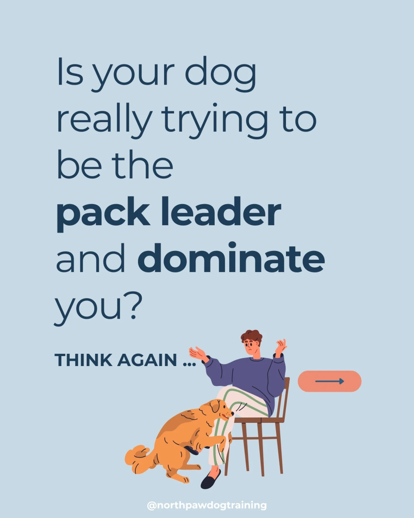 The modern understanding of dog behaviour emphasises that dogs thrive in a relationship based on trust, clear communication, understanding, and positive reinforcement, not dominance.

#doglove #buildingtrust #dogsofinstagram #dogtraining #dogtrainer 