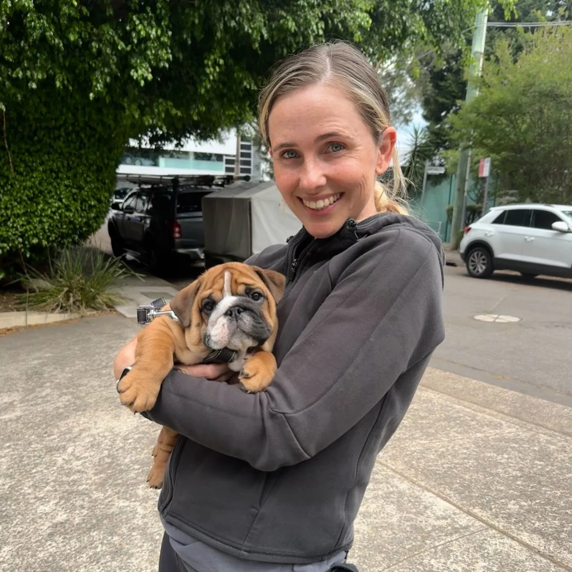 Welcome Marley to the Puppy Training Program 🥹🐾