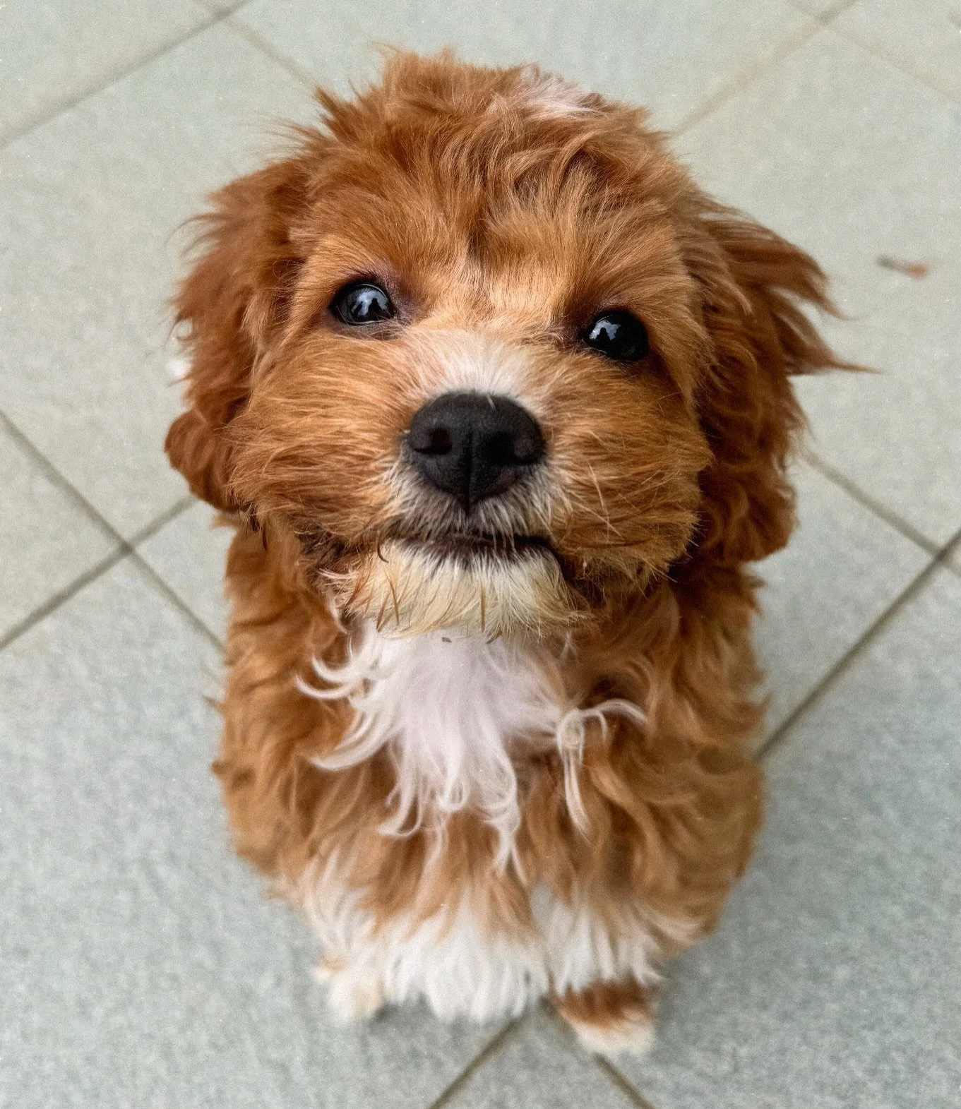 Happy Friday love from Suki 🧡