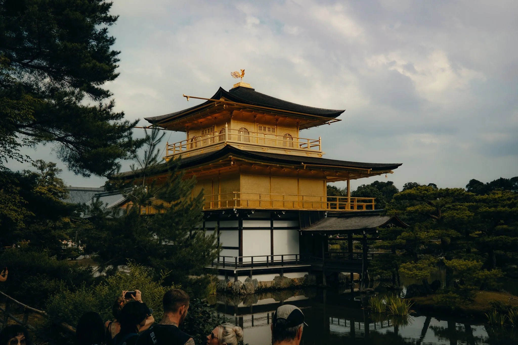 DSCF5070.jpg