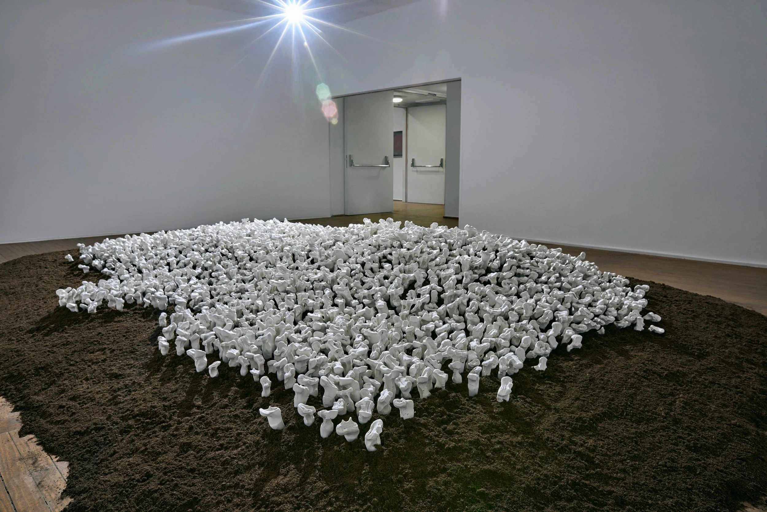 'Terra' Casa America Madrid