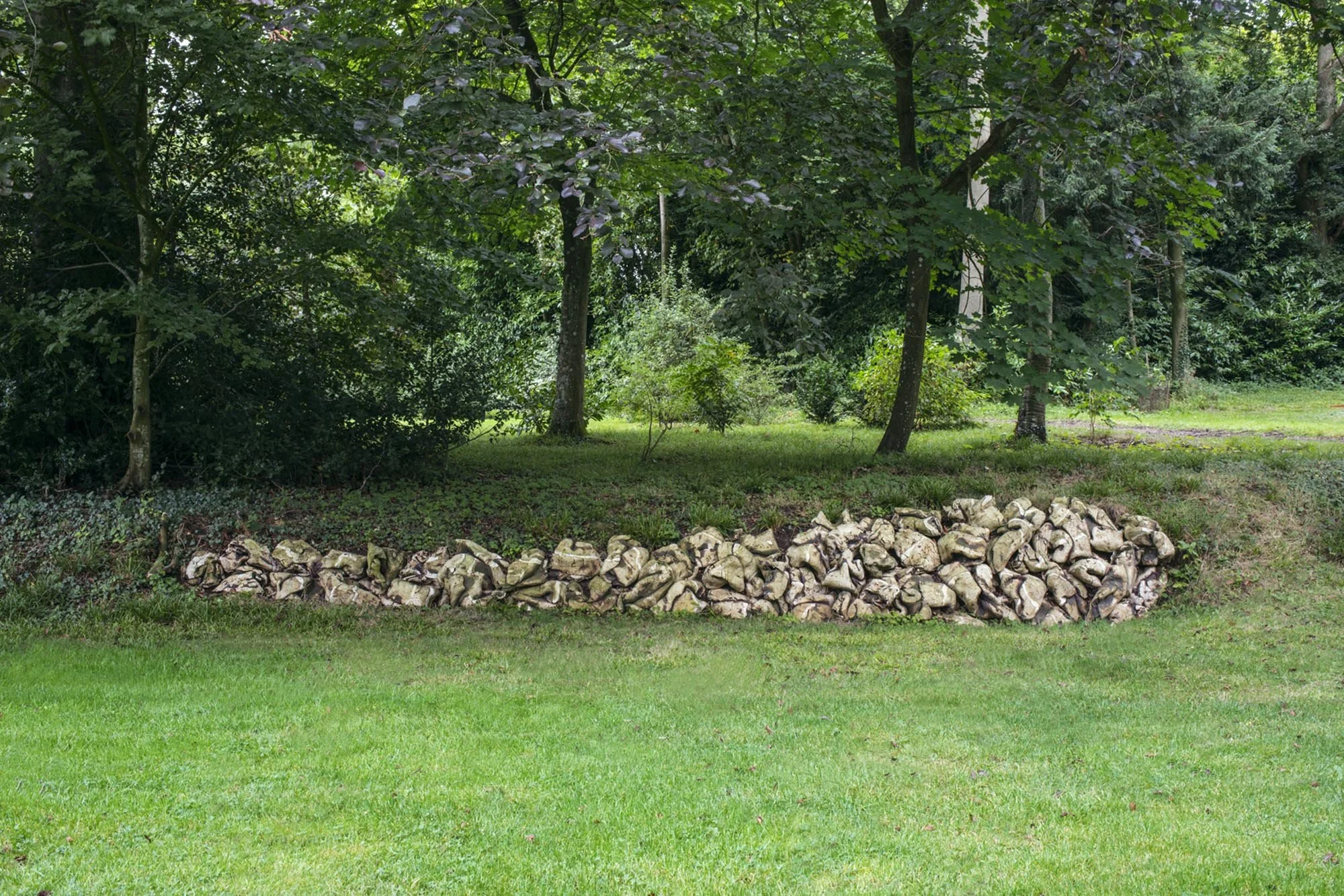 'Back to Earth' New Art Centre