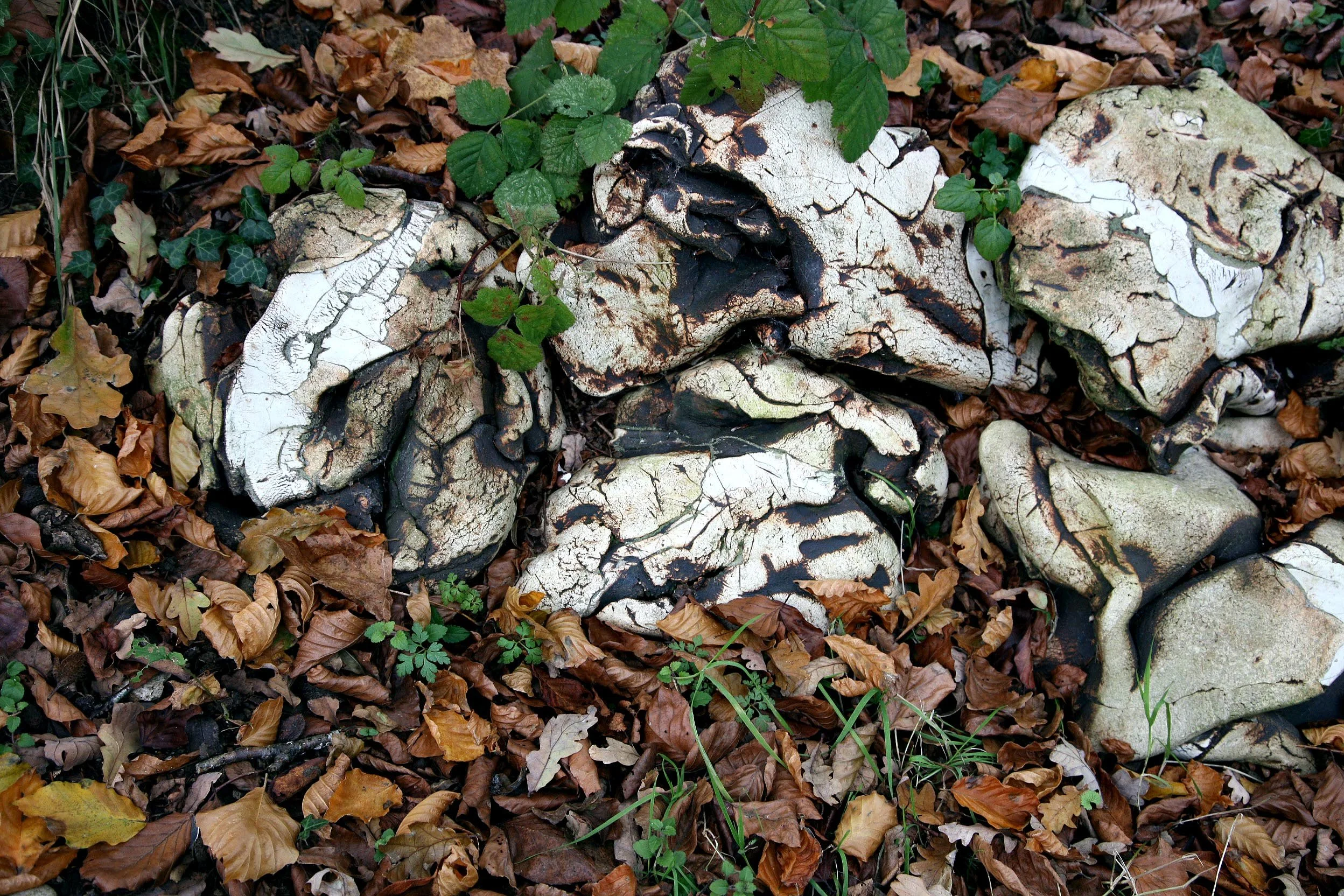 'Back to Earth' New Art Centre