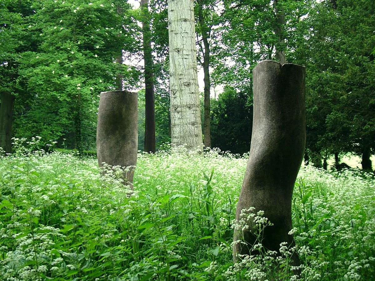 'Under the Forest' Jerwood Foundation