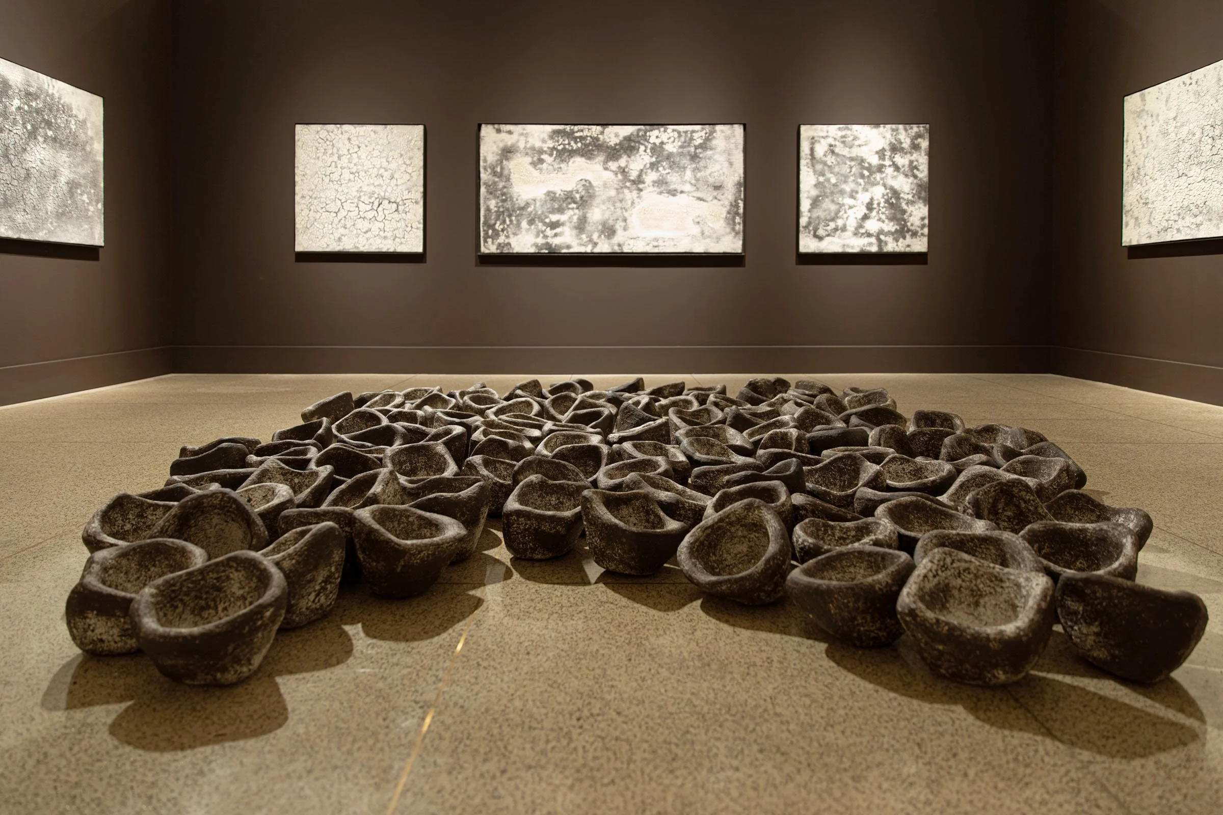 'Terra' San Diego Museum of Art